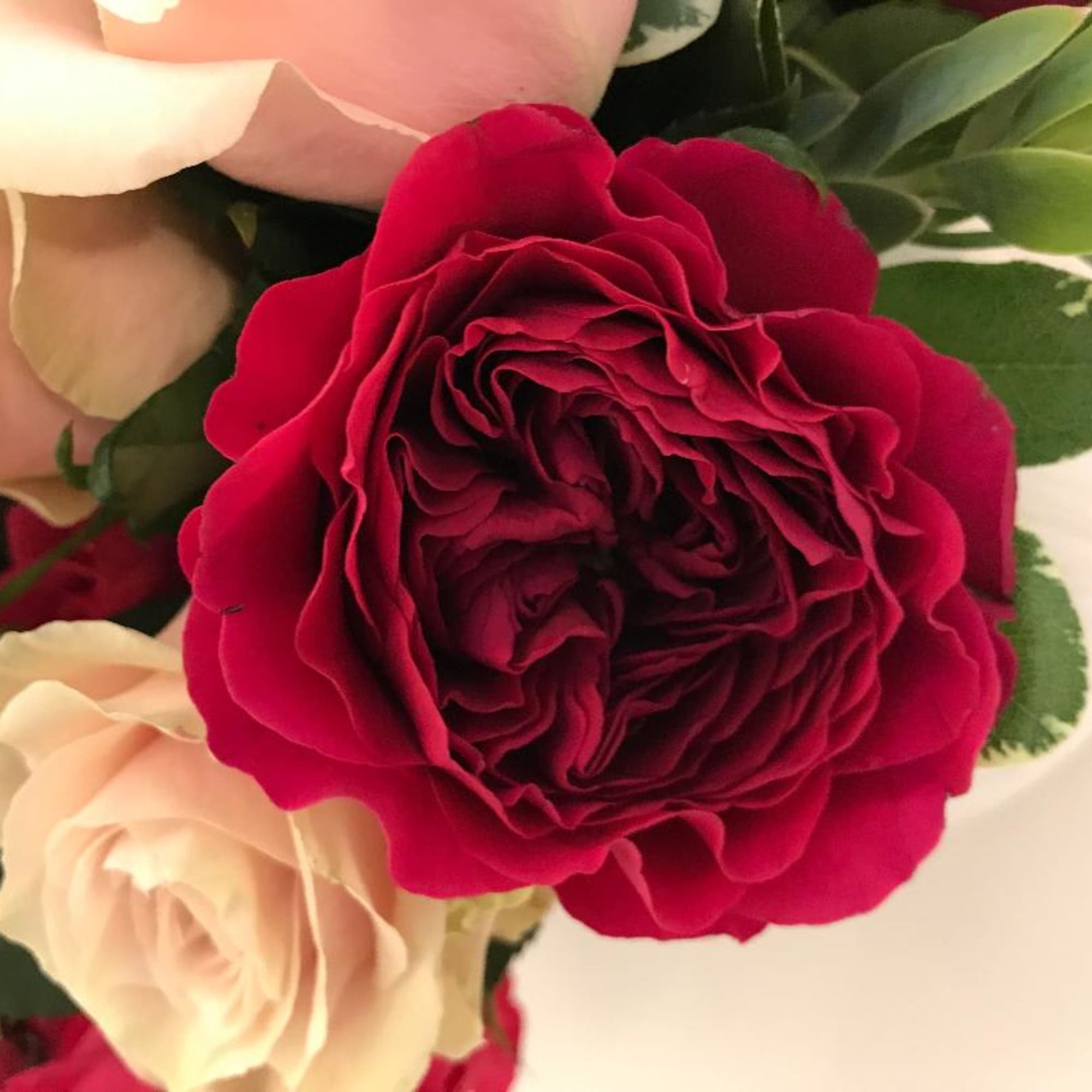 Bountiful arrangement in shades of pink florals garden roses and roses from