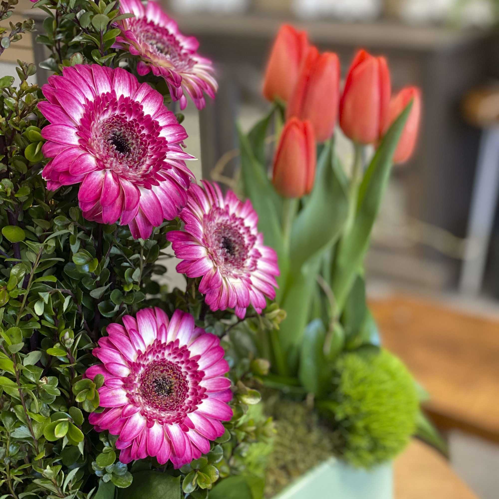 Need to cheer someone up or just send some LOVE to someone