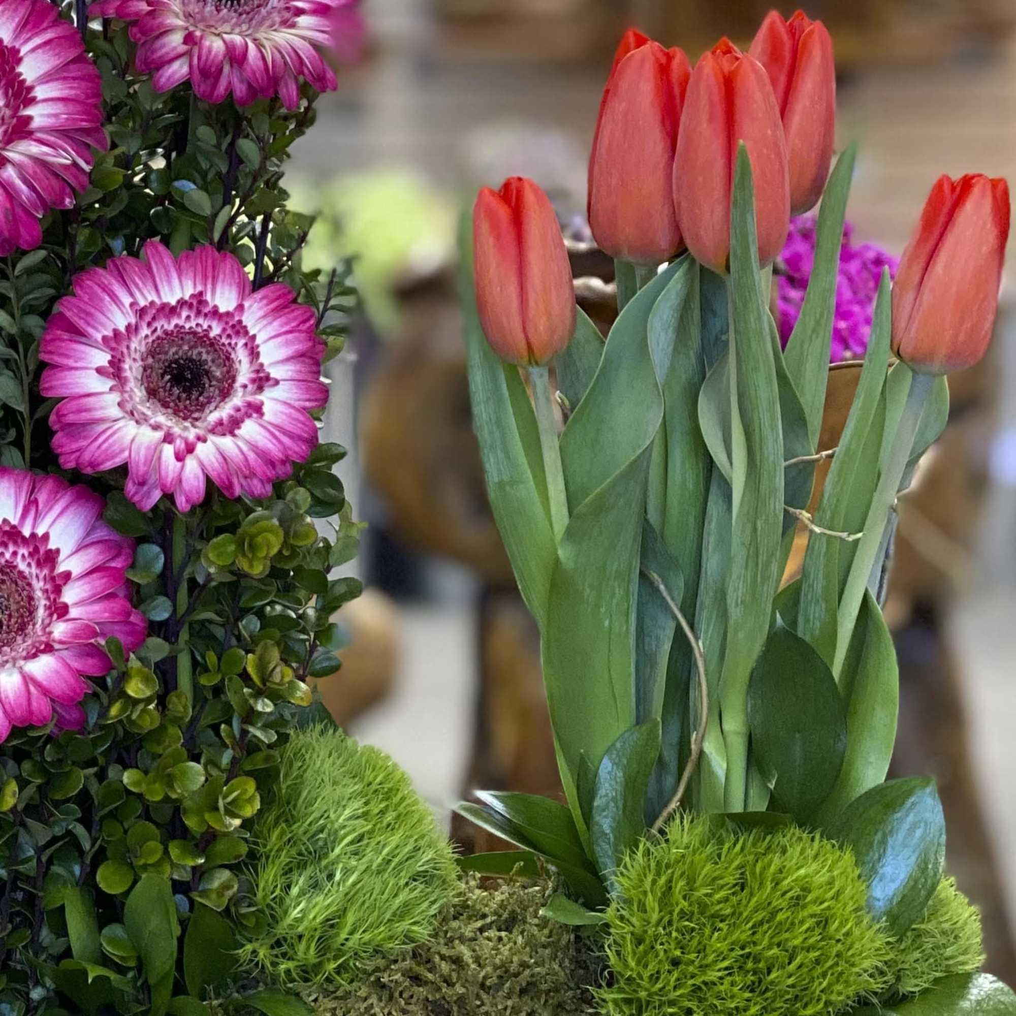 Need to cheer someone up or just send some LOVE to someone