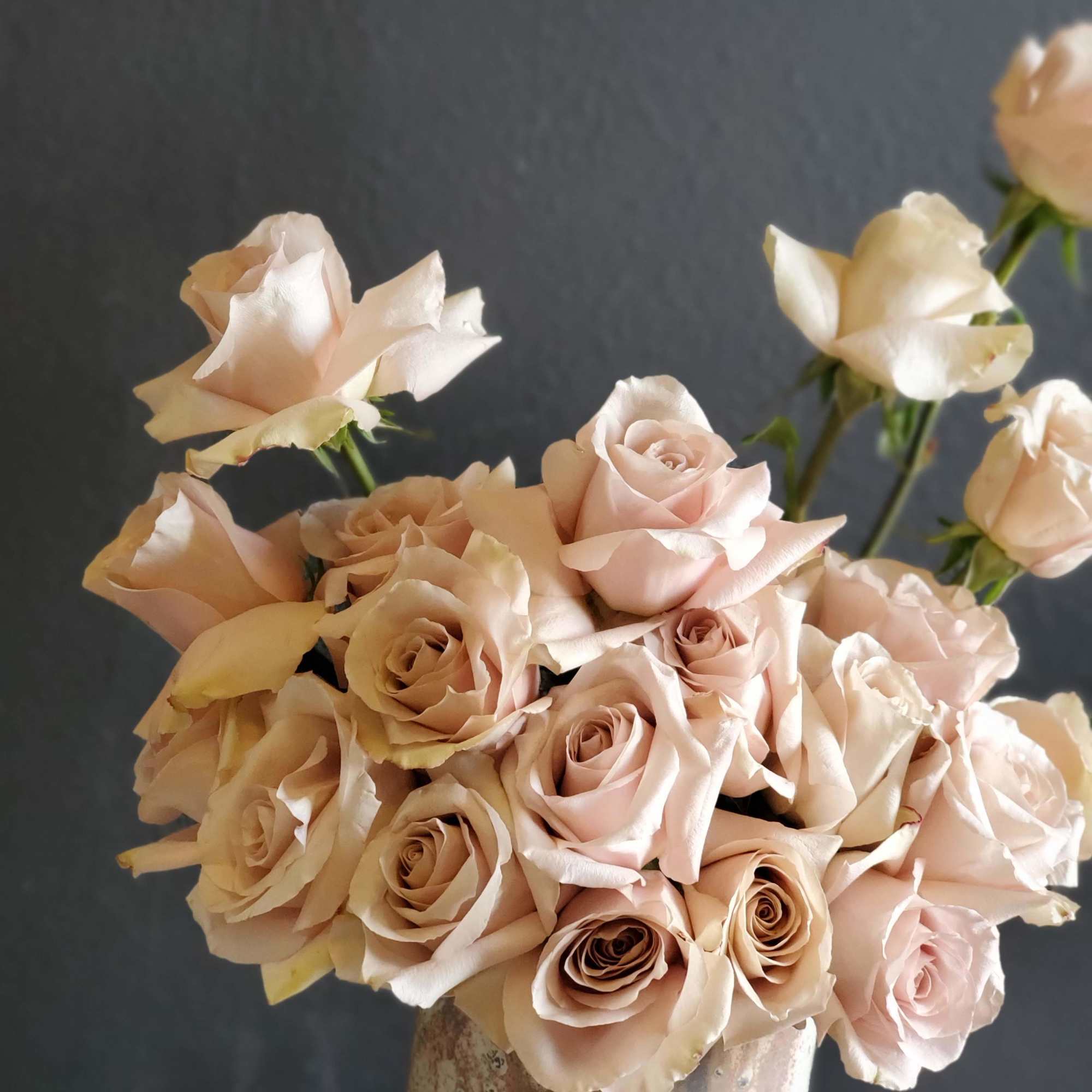 A modern and exquisite composition made with 25 of our fines premium