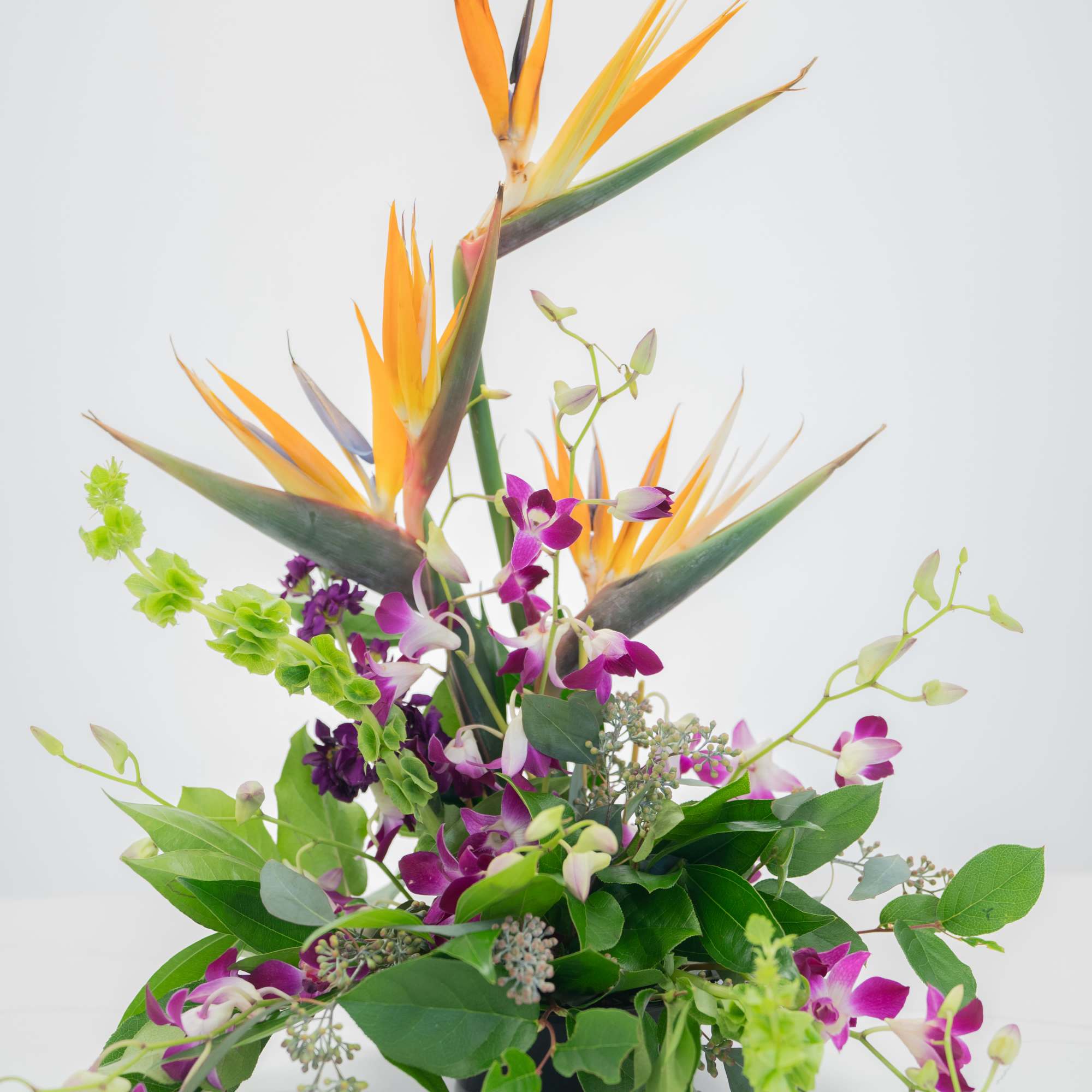Bright Birds of Paradise emerging from purple orchids and greenery. Perfect for