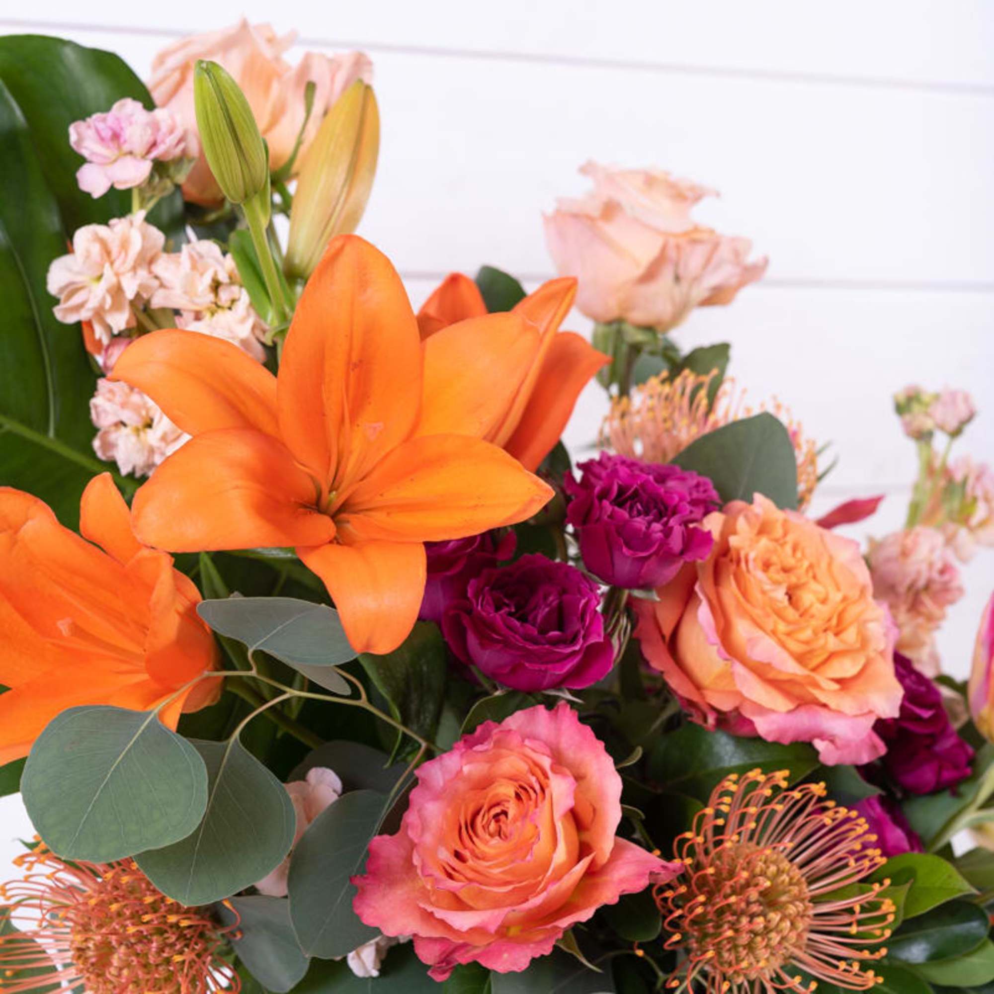 Are you ready to be Festive!