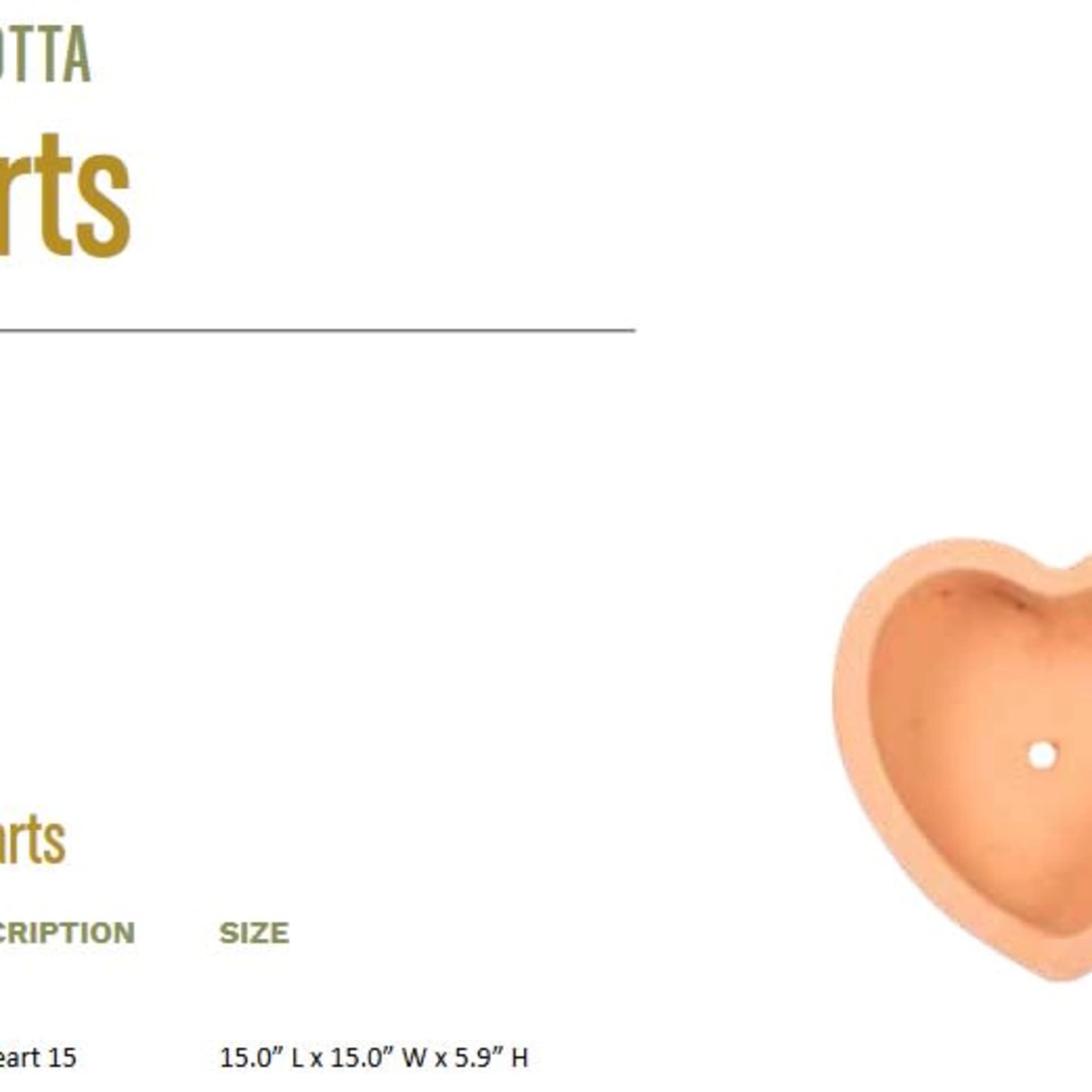 15 inch Diameter Terra Cotta Clay Pot with echeverias and single Hawthorn 15 inch Diameter Terra Cotta Clay Pot with echeverias and single Hawthorn