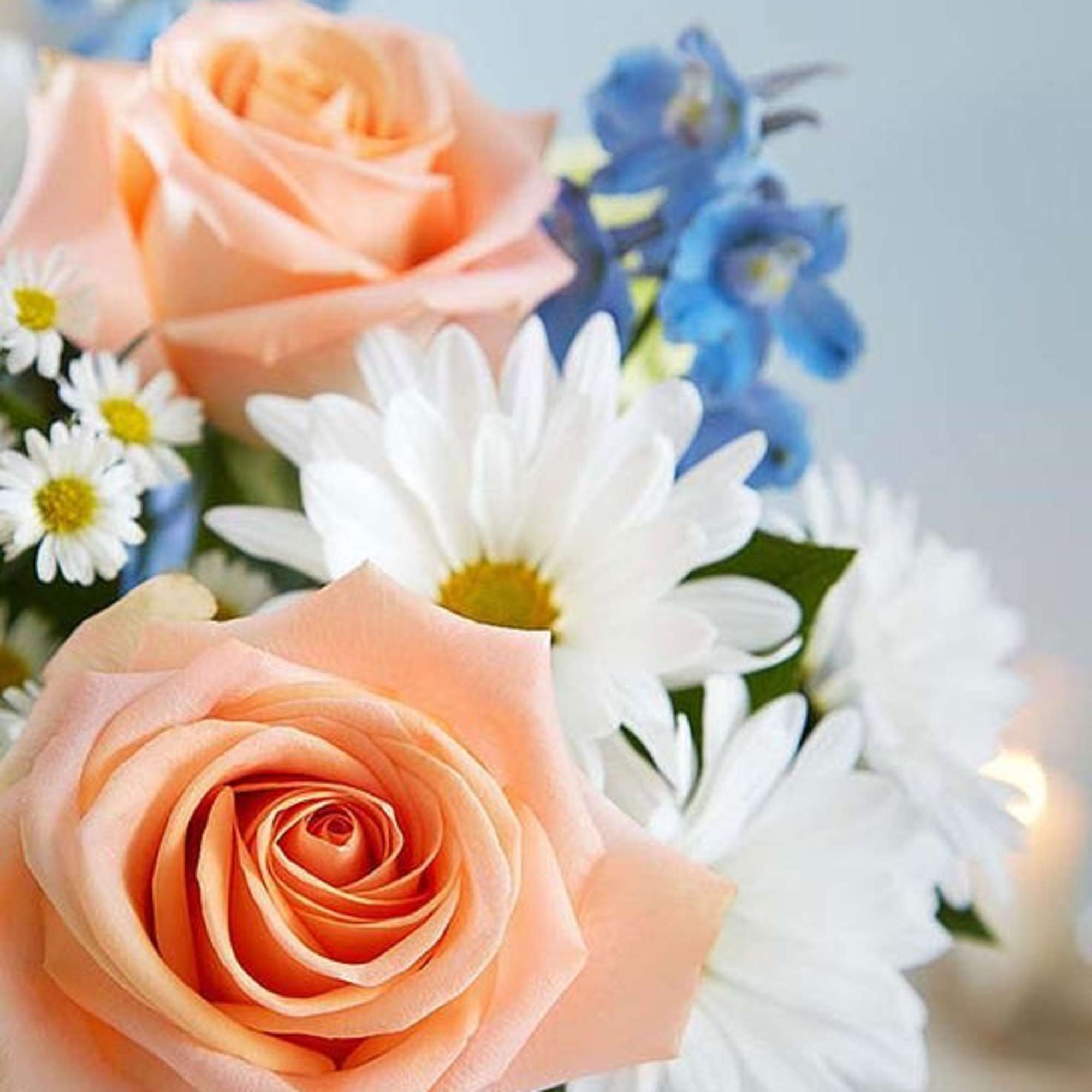 Our beach-inspired bouquet captures the blissful beauty of a seaside retreat. Bunches