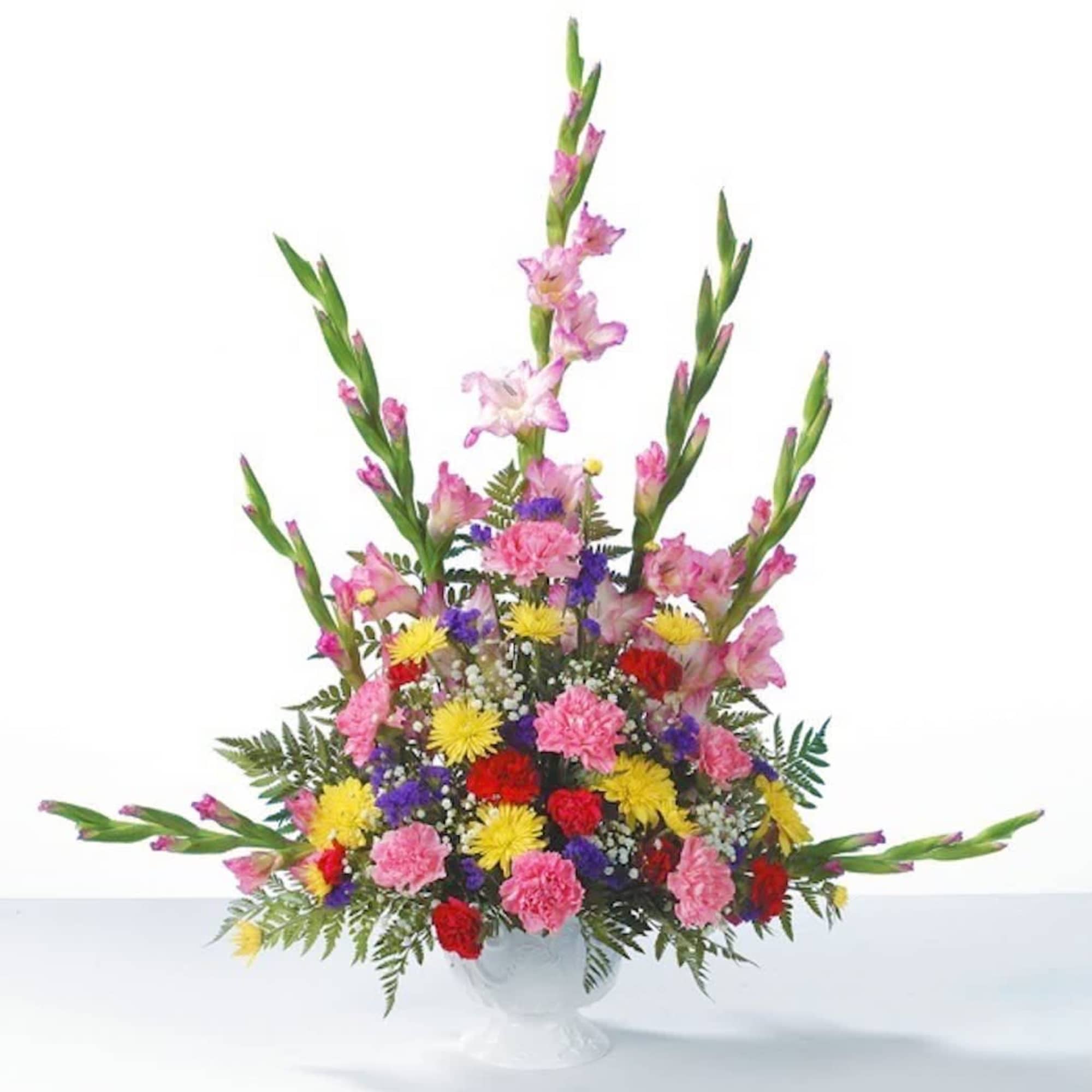 Pink Gladiolus radiate from a garden of Red and Pink Carnations, Yellow Pink Gladiolus radiate from a garden of Red and Pink Carnations, Yellow