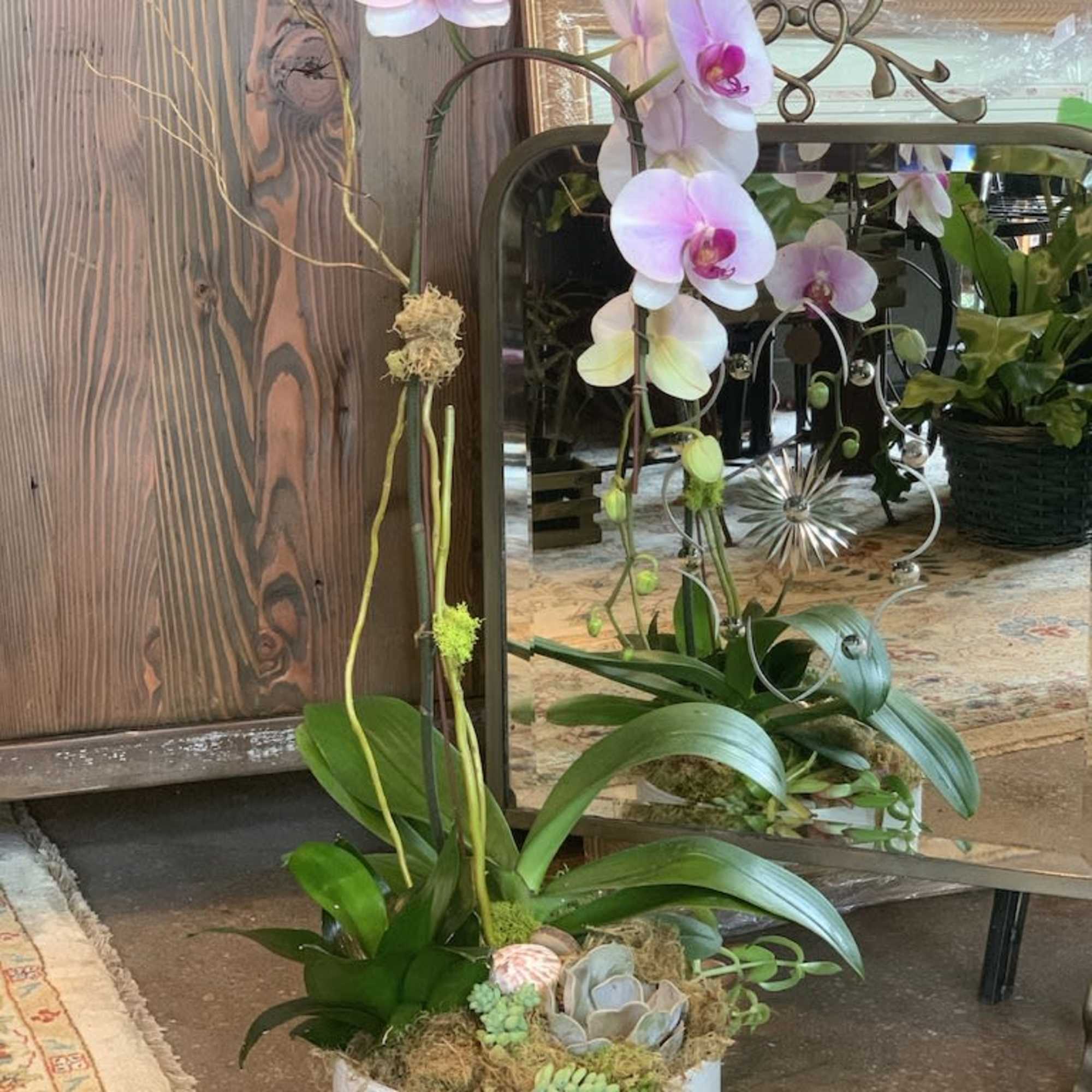 Features a large orchid in full bloom in an arrangement with other