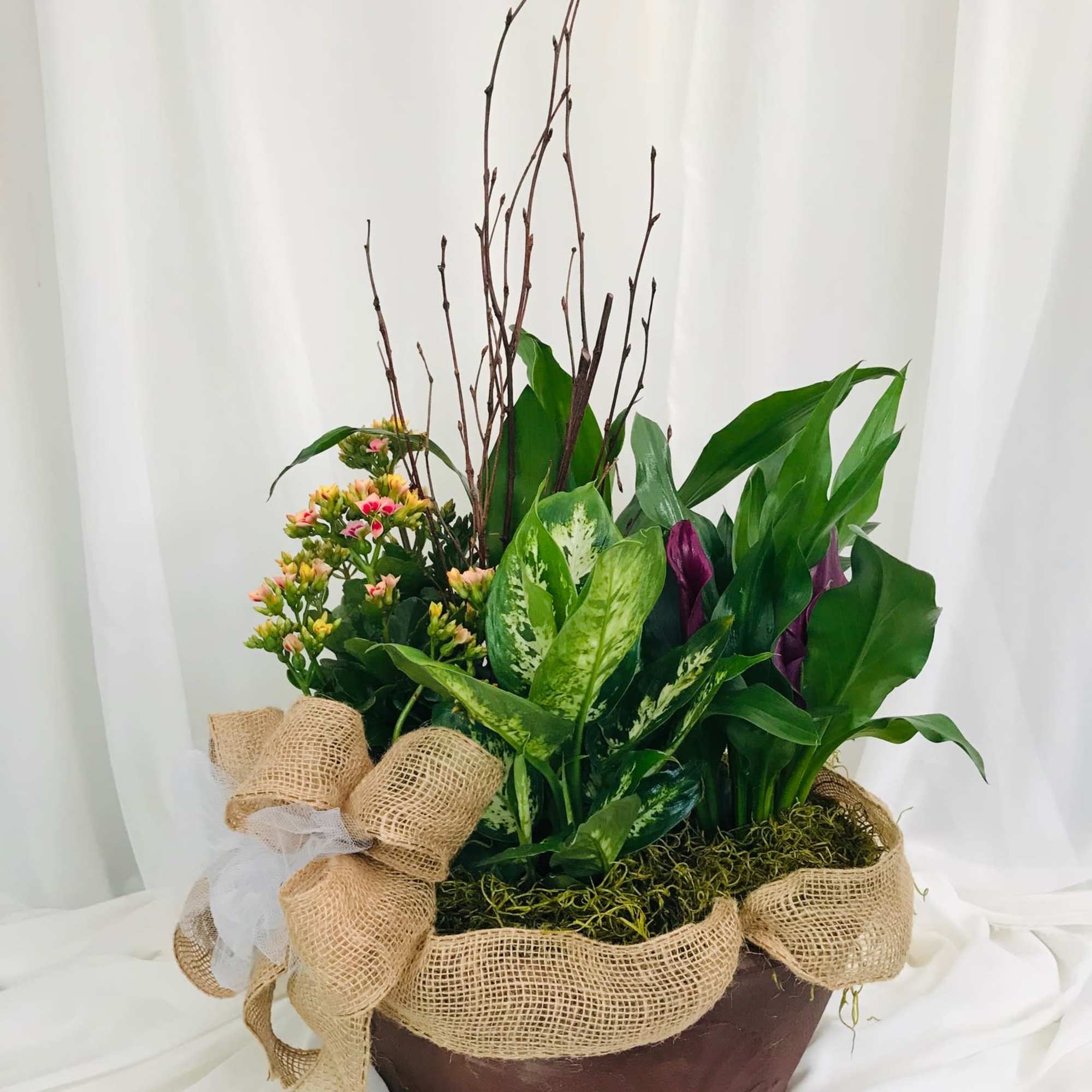 This piece holds five plants of the florists choice. The dish garden