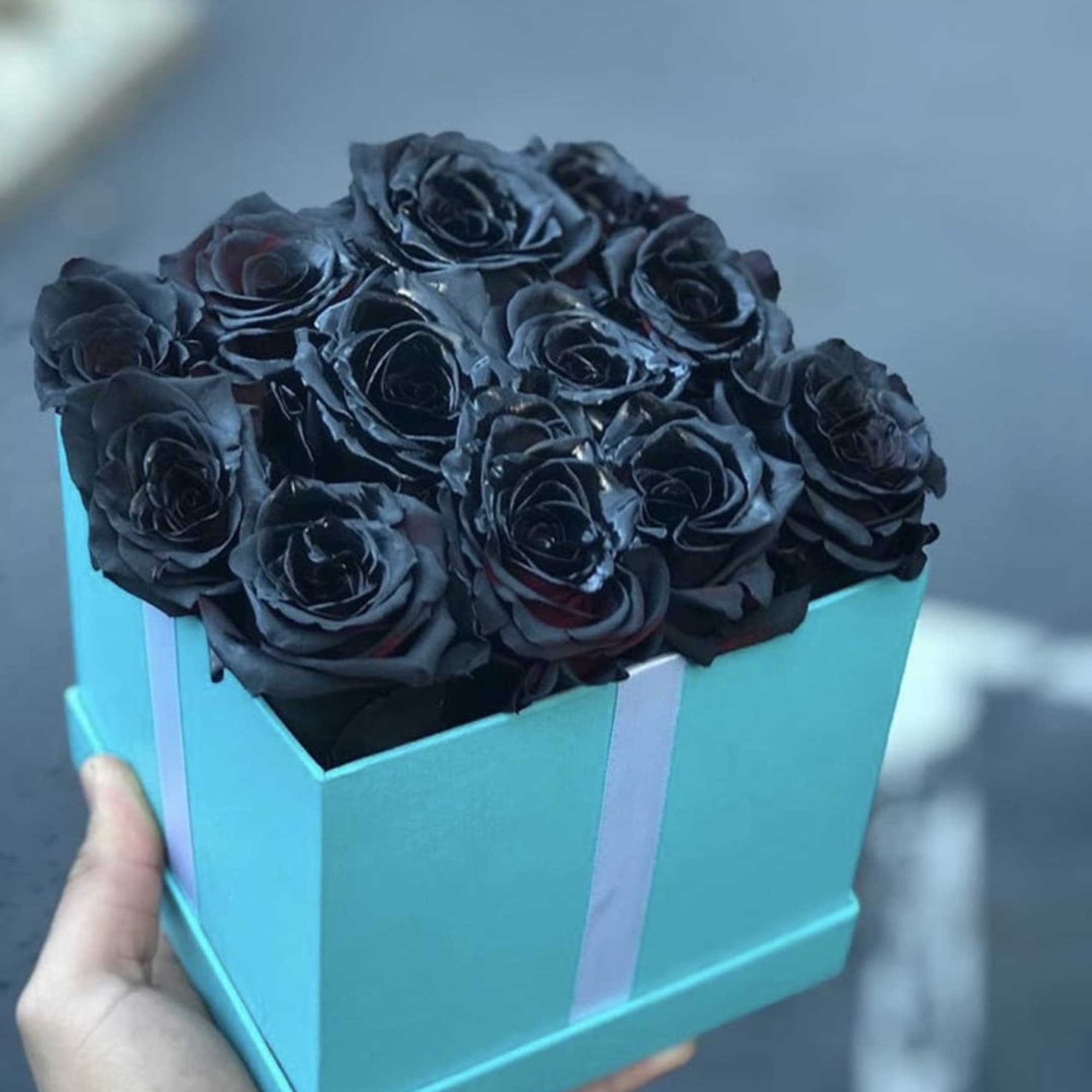 The most elegant way to give a dozen roses, we through in