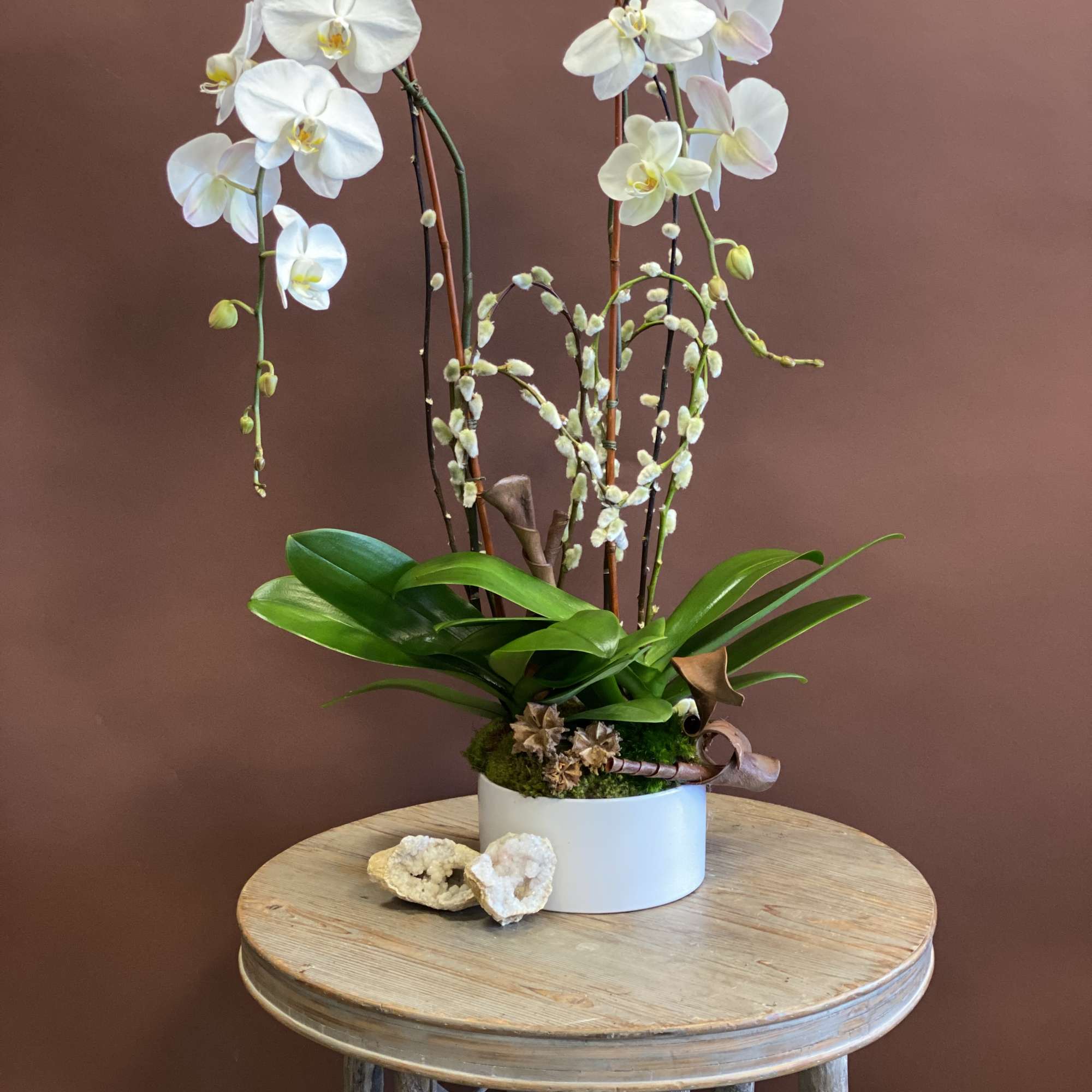 You can never go wrong with a classic Phalaenopsis Orchid Plant. With