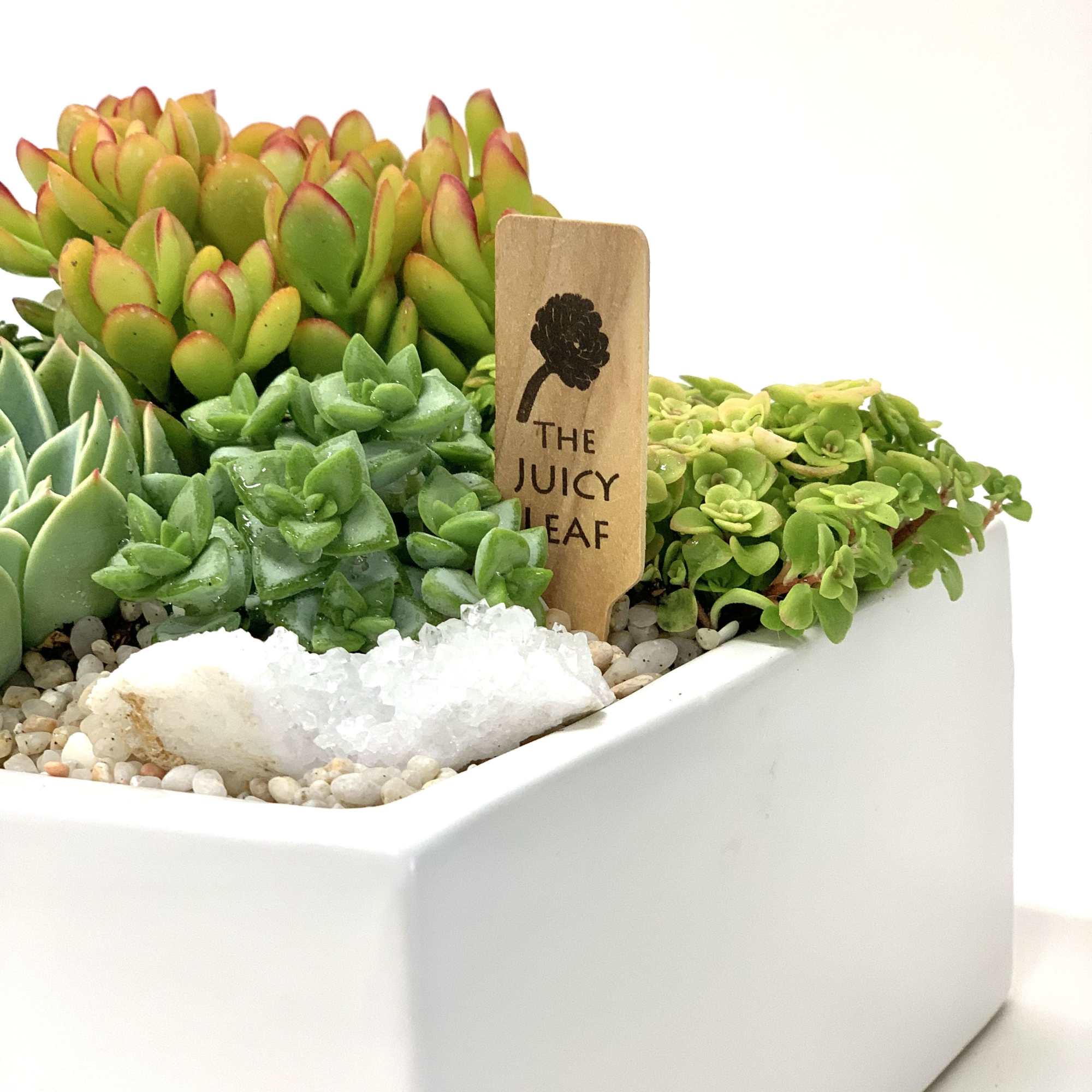 A selection of green succulents and a small geode planted in a A selection of green succulents and a small geode planted in a