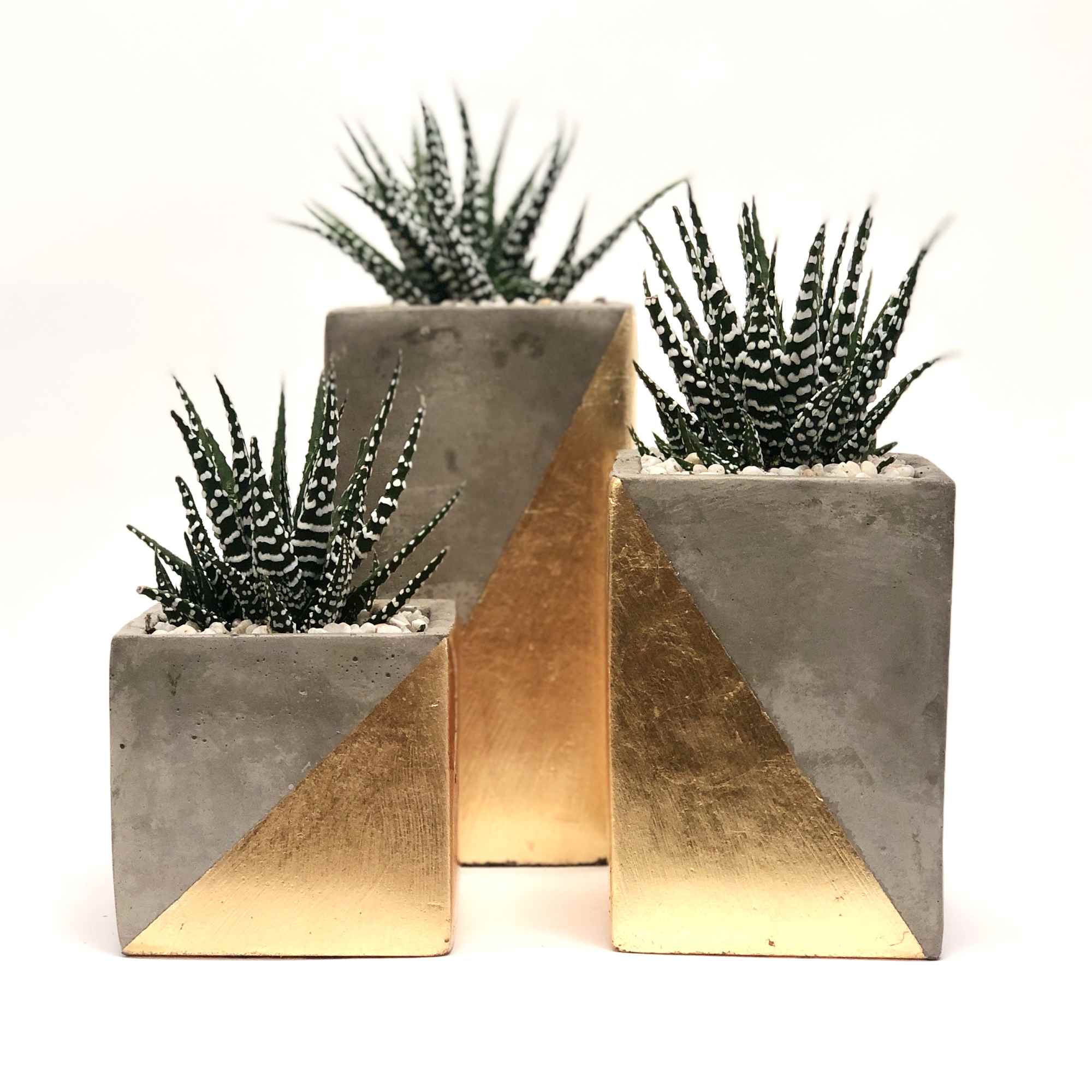 Set of 3 concrete vases with gold design. Set of 3 concrete vases with gold design.
