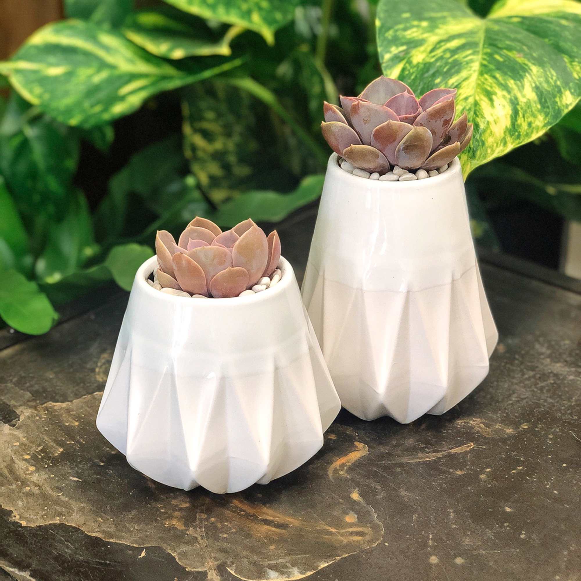 This is a white glossy set of pots with a single pink This is a white glossy set of pots with a single pink