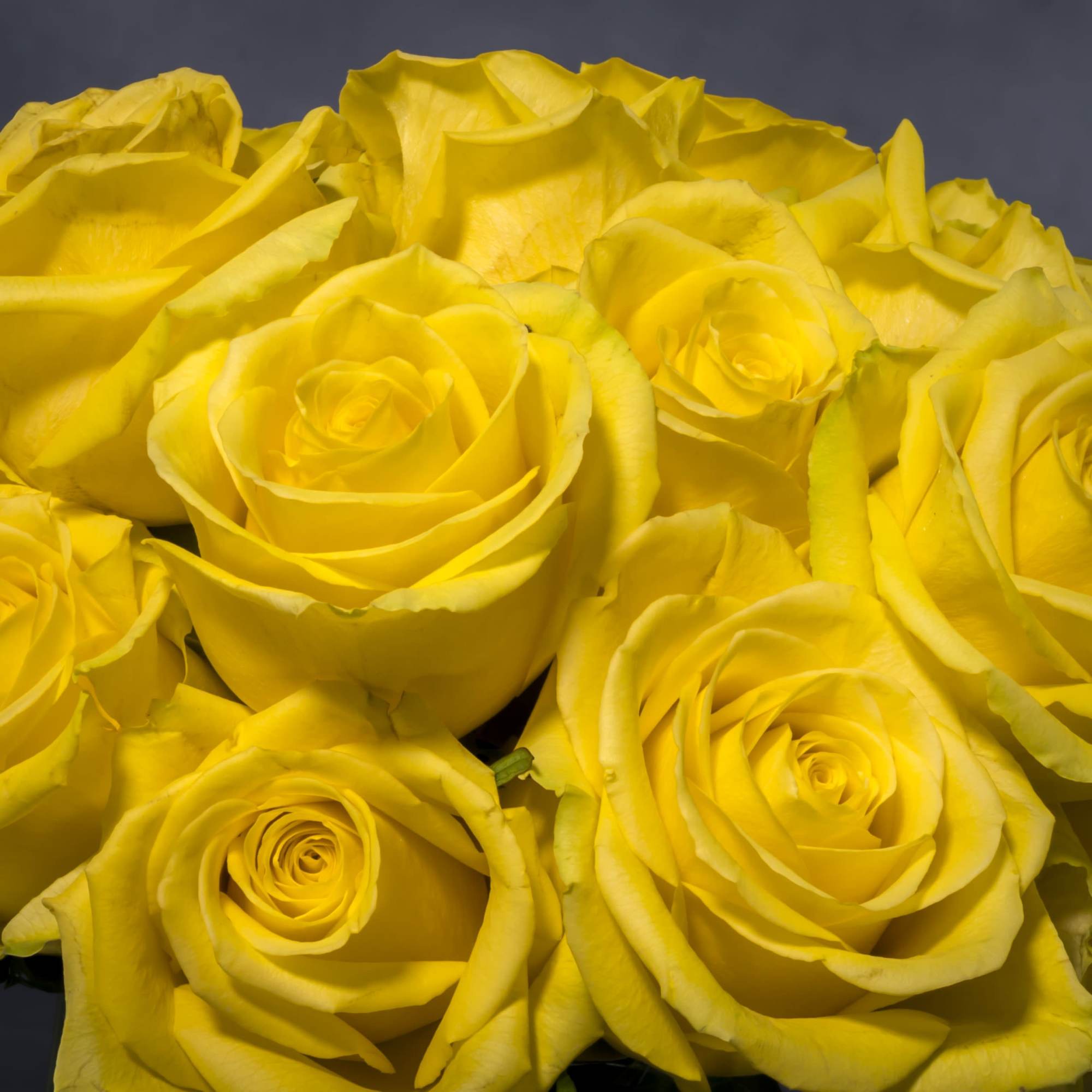 An Arrangement that is sure to be Bright, vibrant and sunny! An