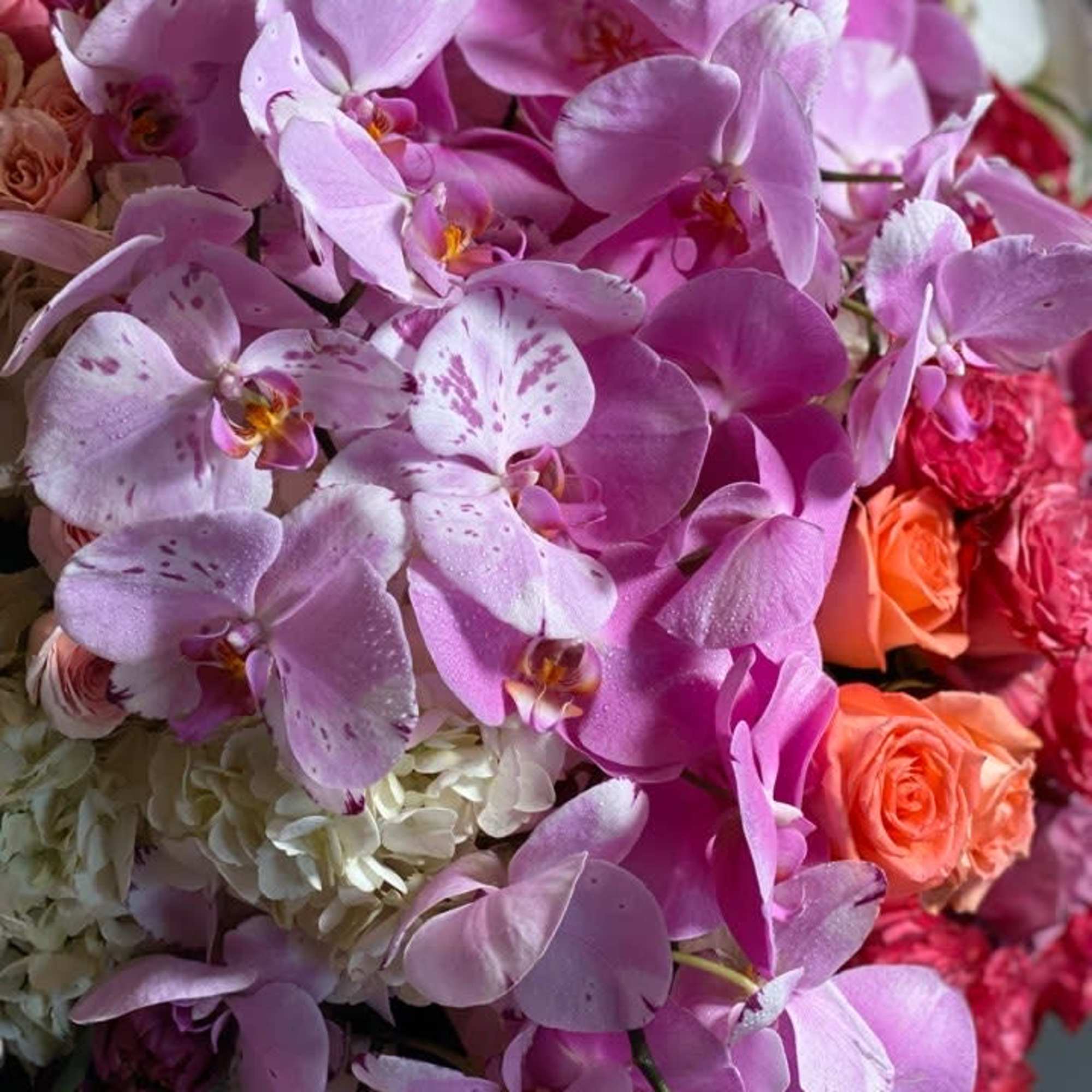 A grandiose and opulent display of coral, purple, and pink blooms of