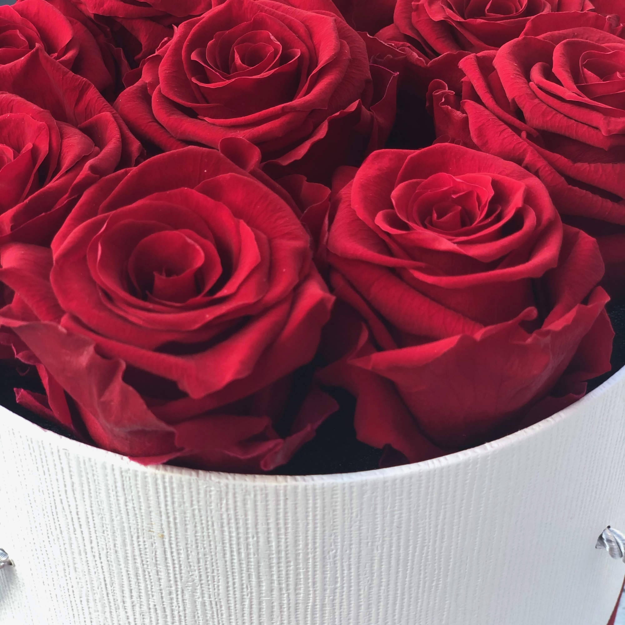 Nice box of everlasting roses. Everlasting roses are real roses that last