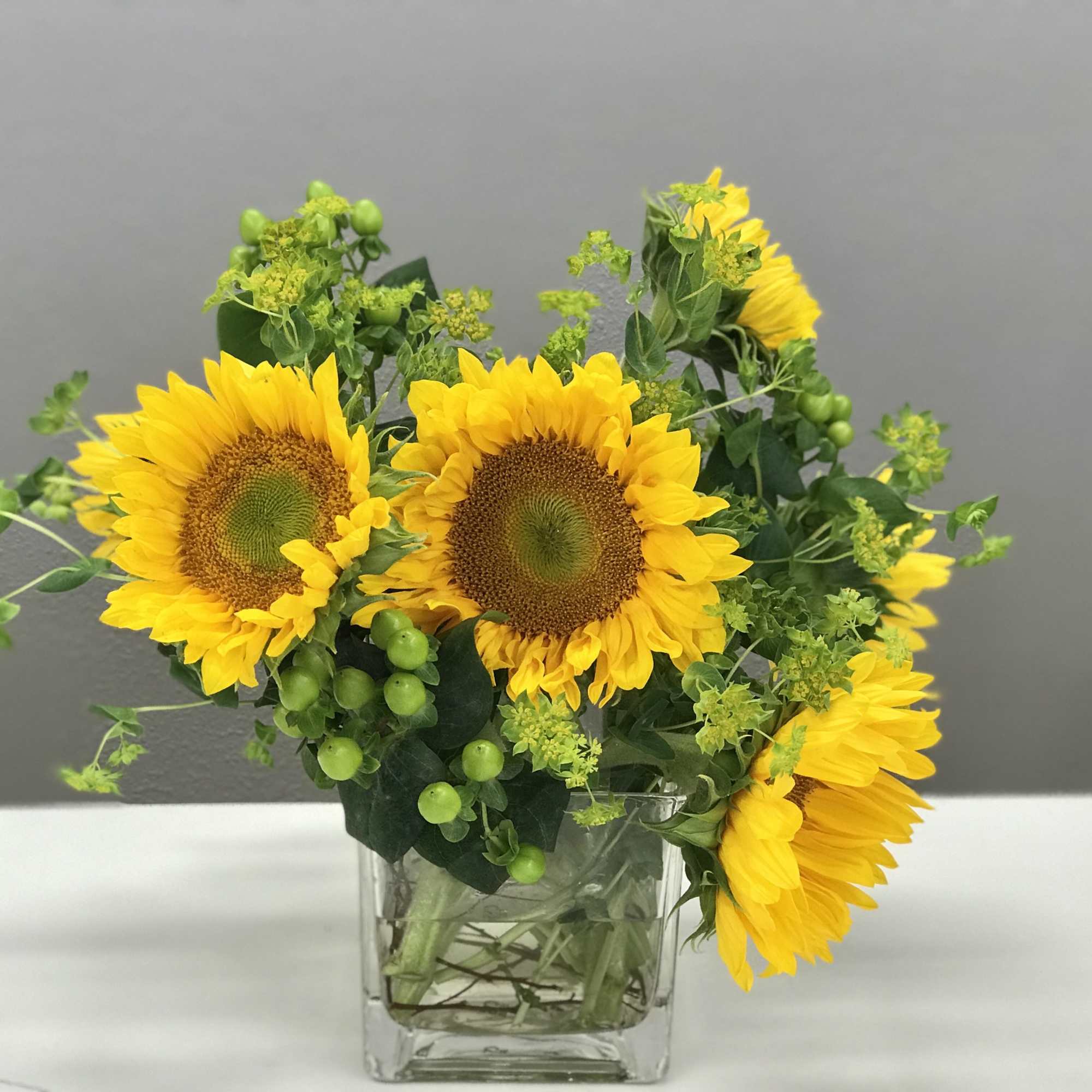 Half a dozen sunflowers bursting forth from their green friends and family