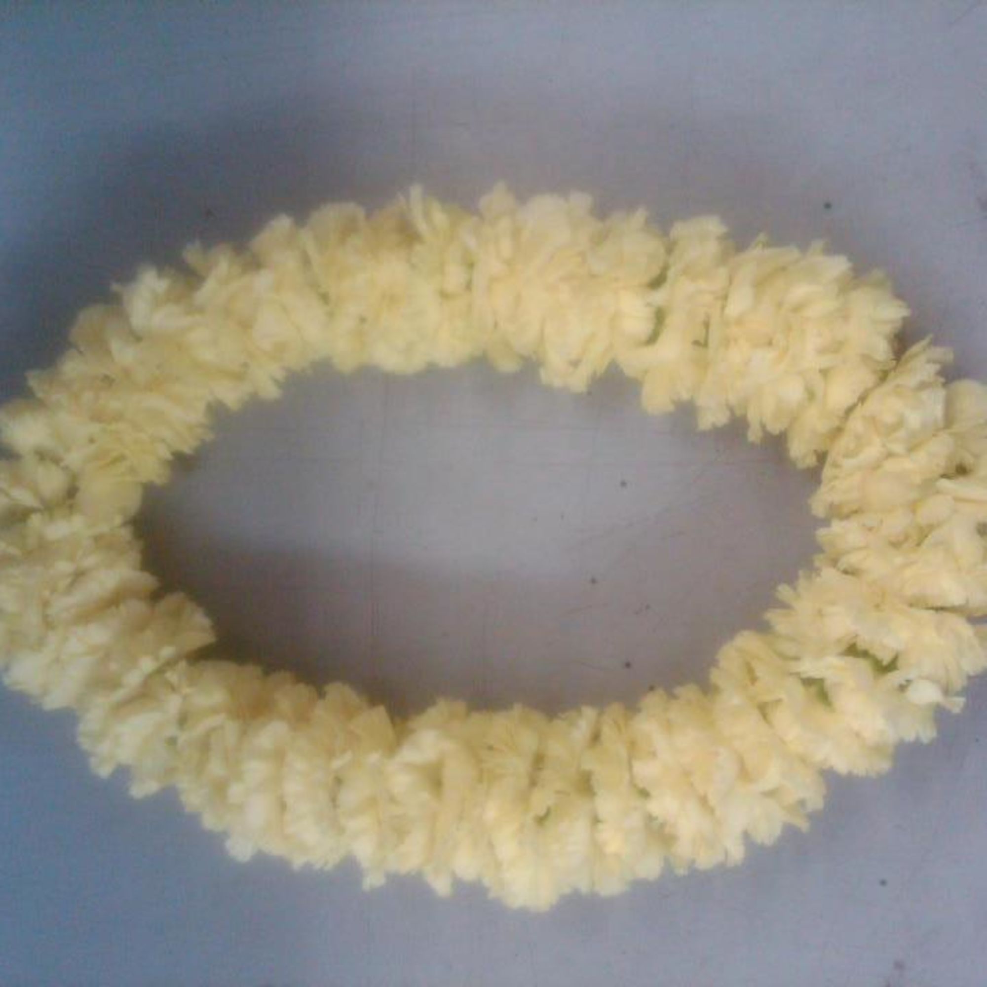 Please inquire, different colors available. 408-246-9900, available year round.