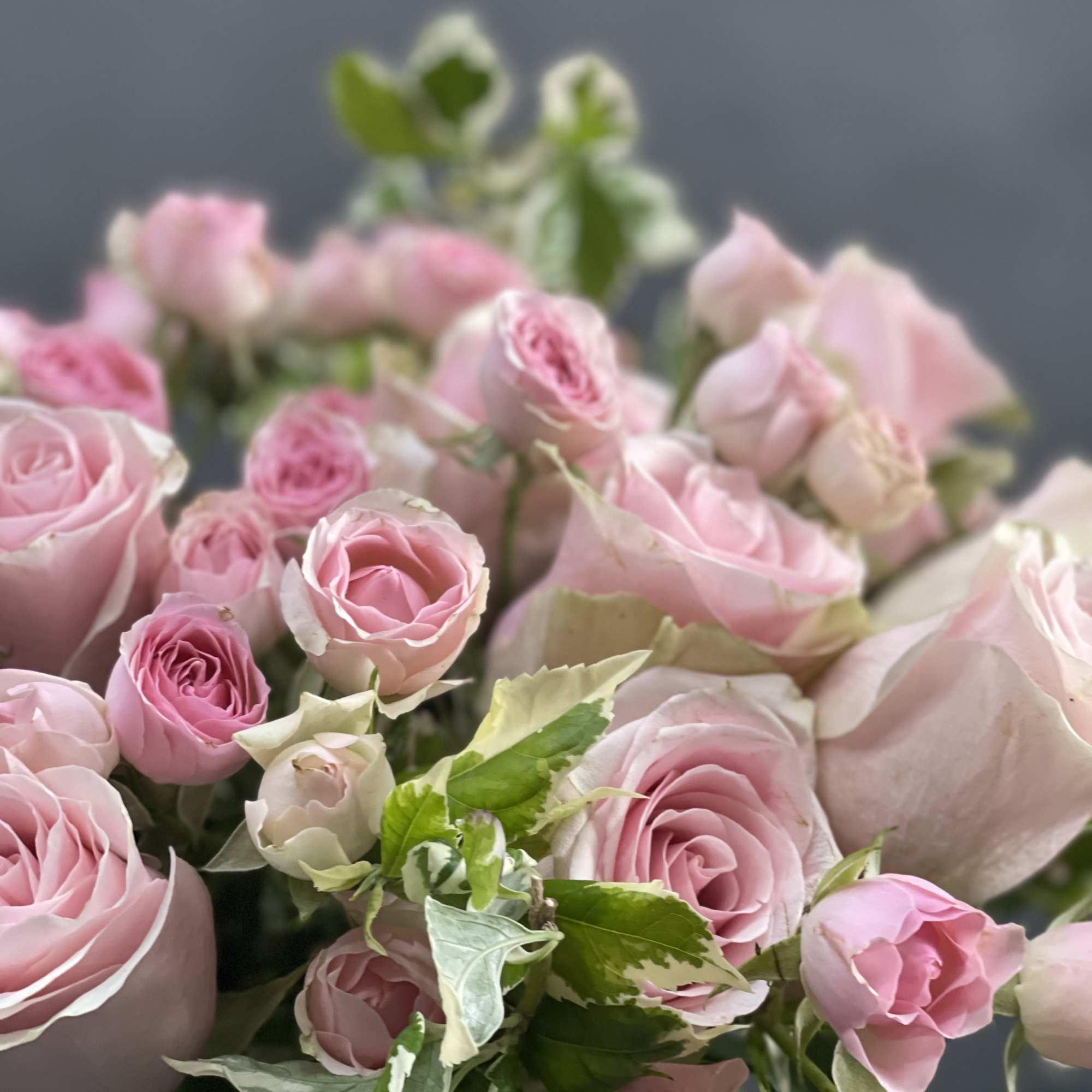 Grey Gardens  Approx. 12&quot; wide and 8&quot; Tall 