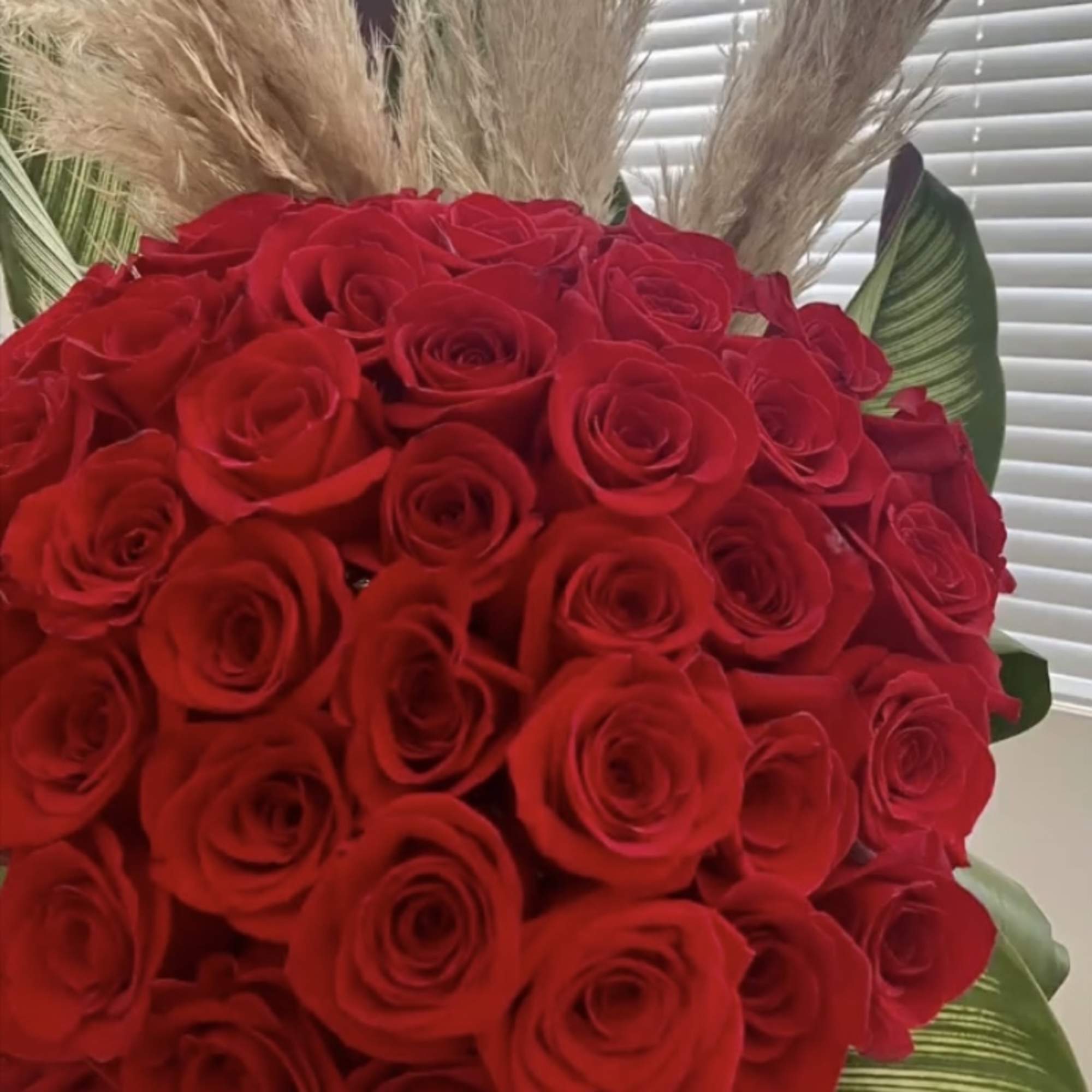 50 beautiful Ecuadorian red roses sitting in a elegant  cilinder 