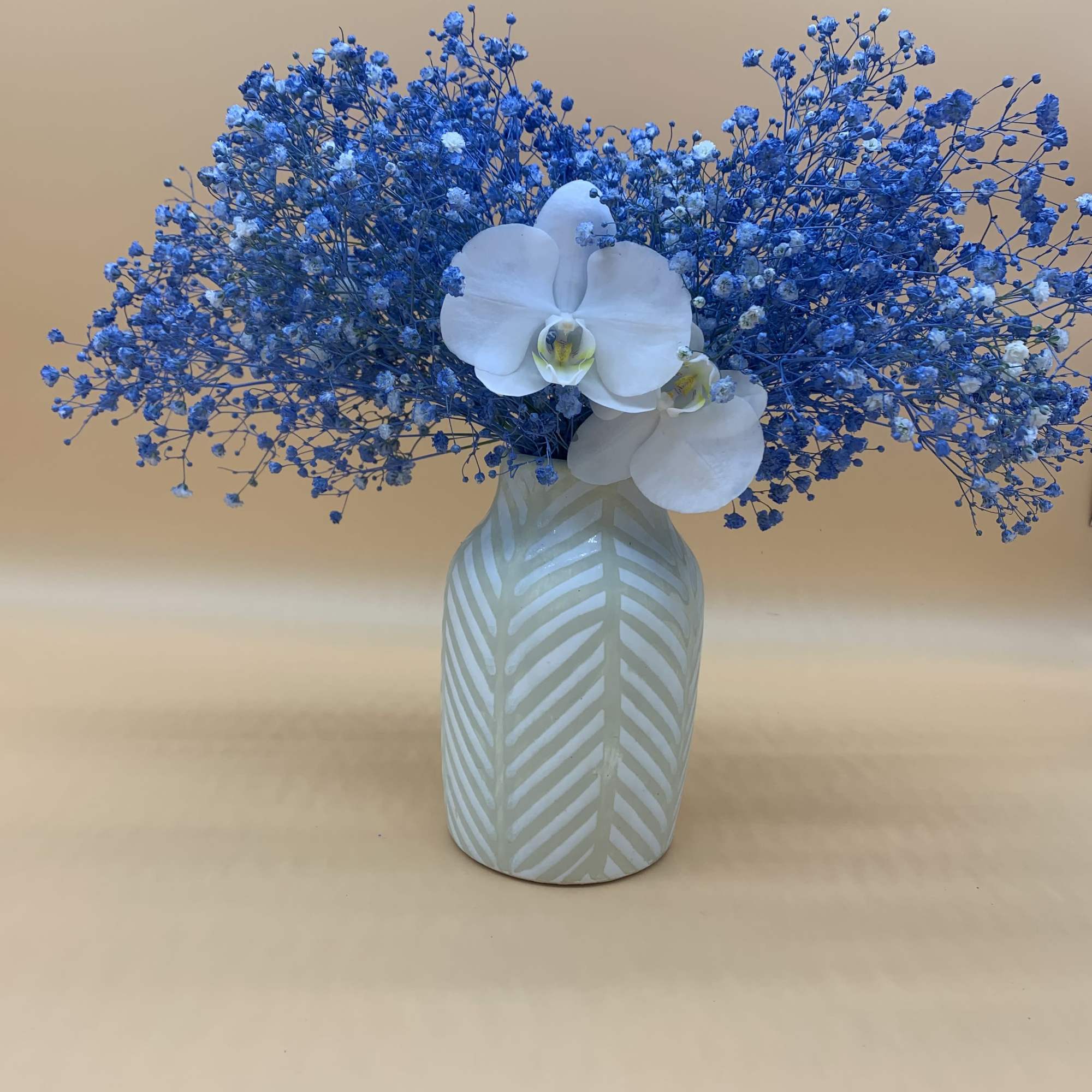 Dyed baby&rsquo;s breath in a 4&rdquo;x 6&quot; in a beige  striped