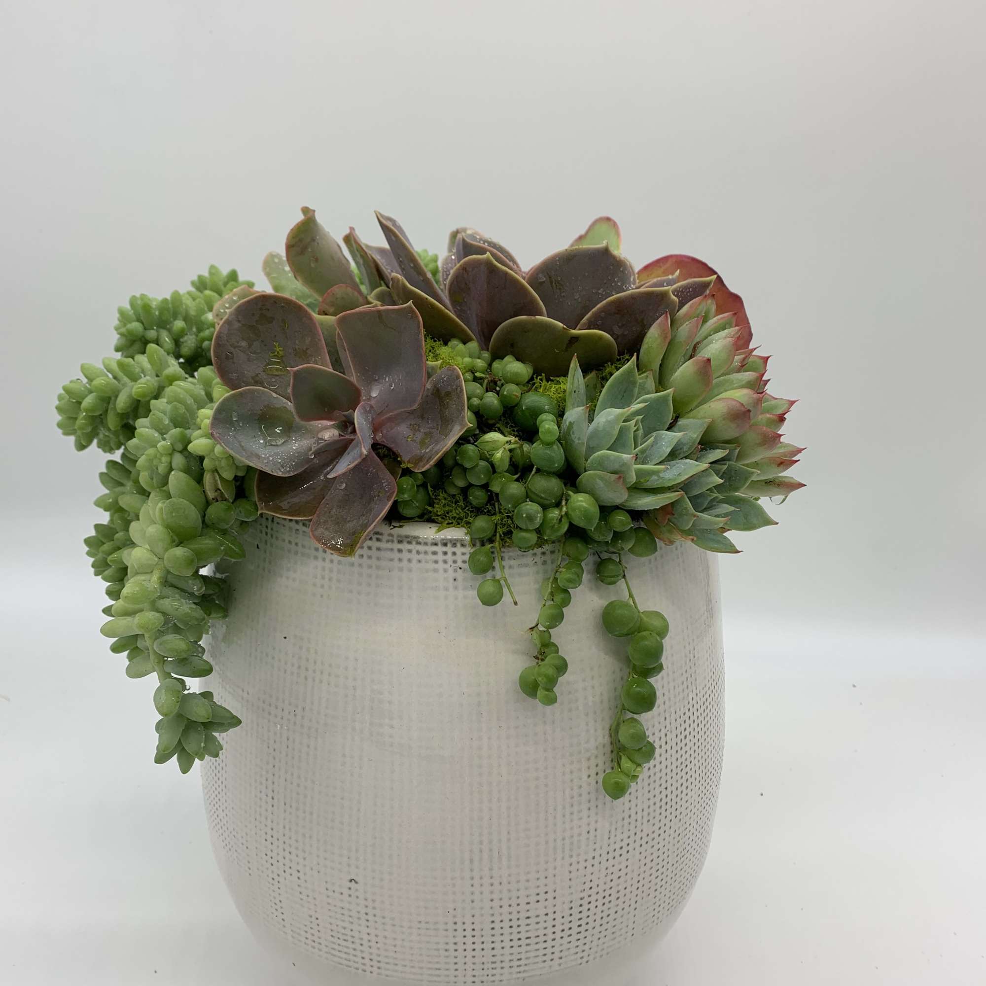 This beautiful ceramic bowl was inspired with the purpose to refresh any