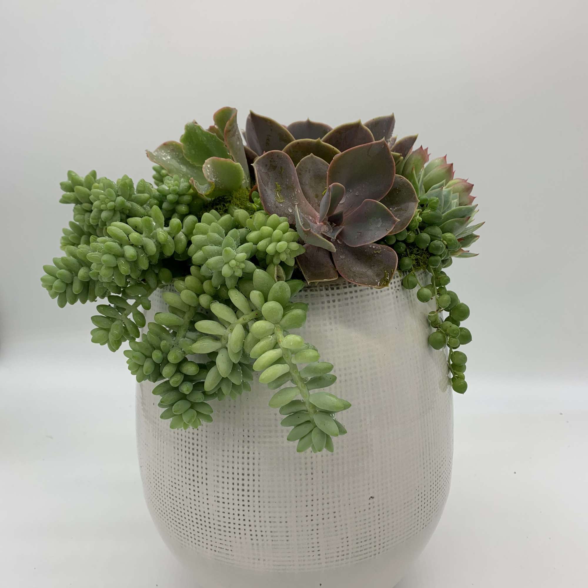 This beautiful ceramic bowl was inspired with the purpose to refresh any