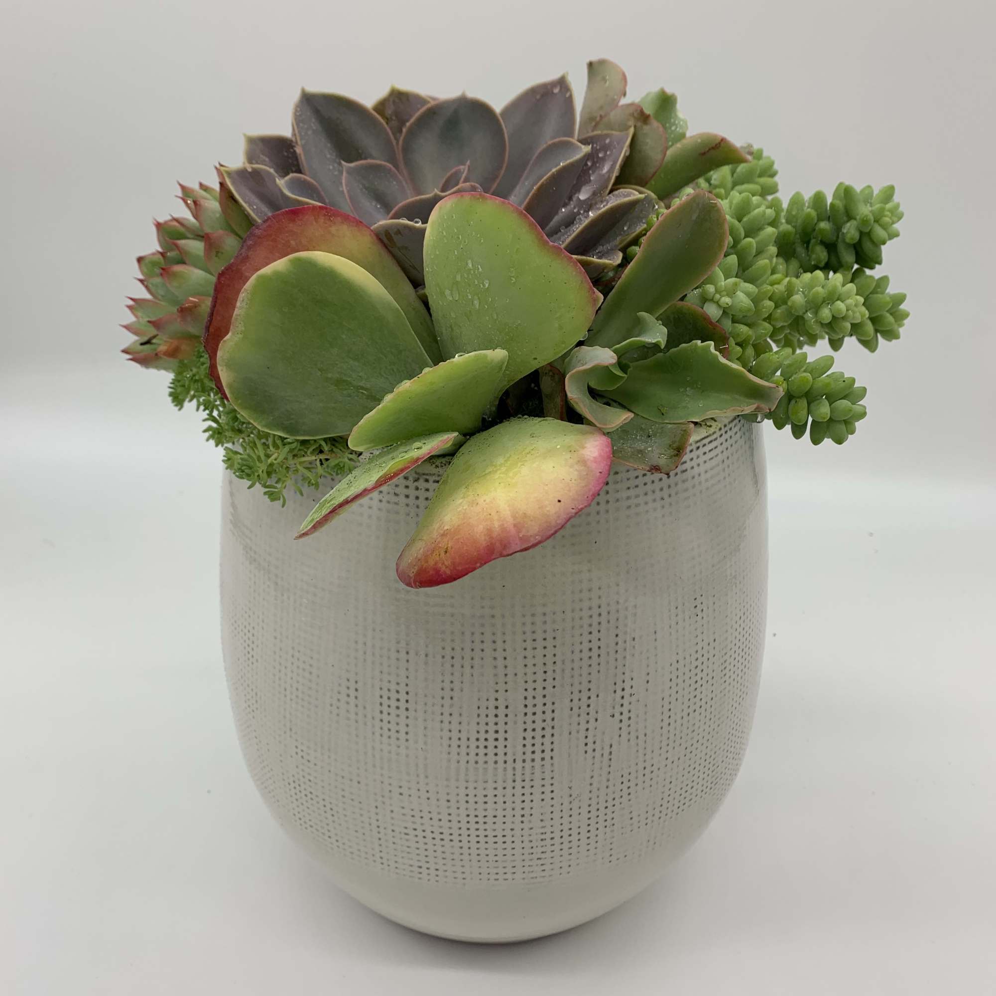 This beautiful ceramic bowl was inspired with the purpose to refresh any