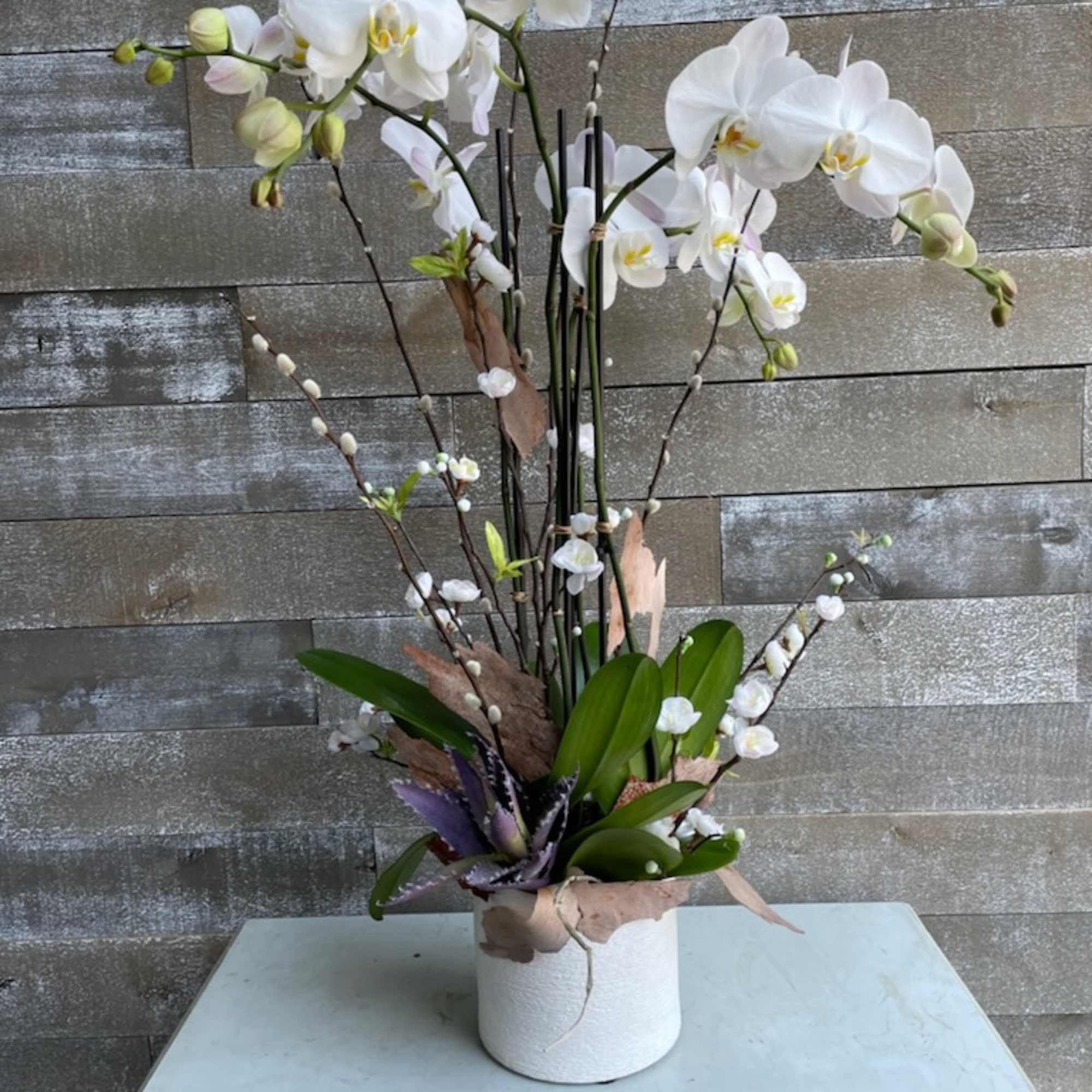 アンティーク　海外　ホワイトキルト　フラワー Birched White Orchid in Los Angeles, CA | Century City Flower Market