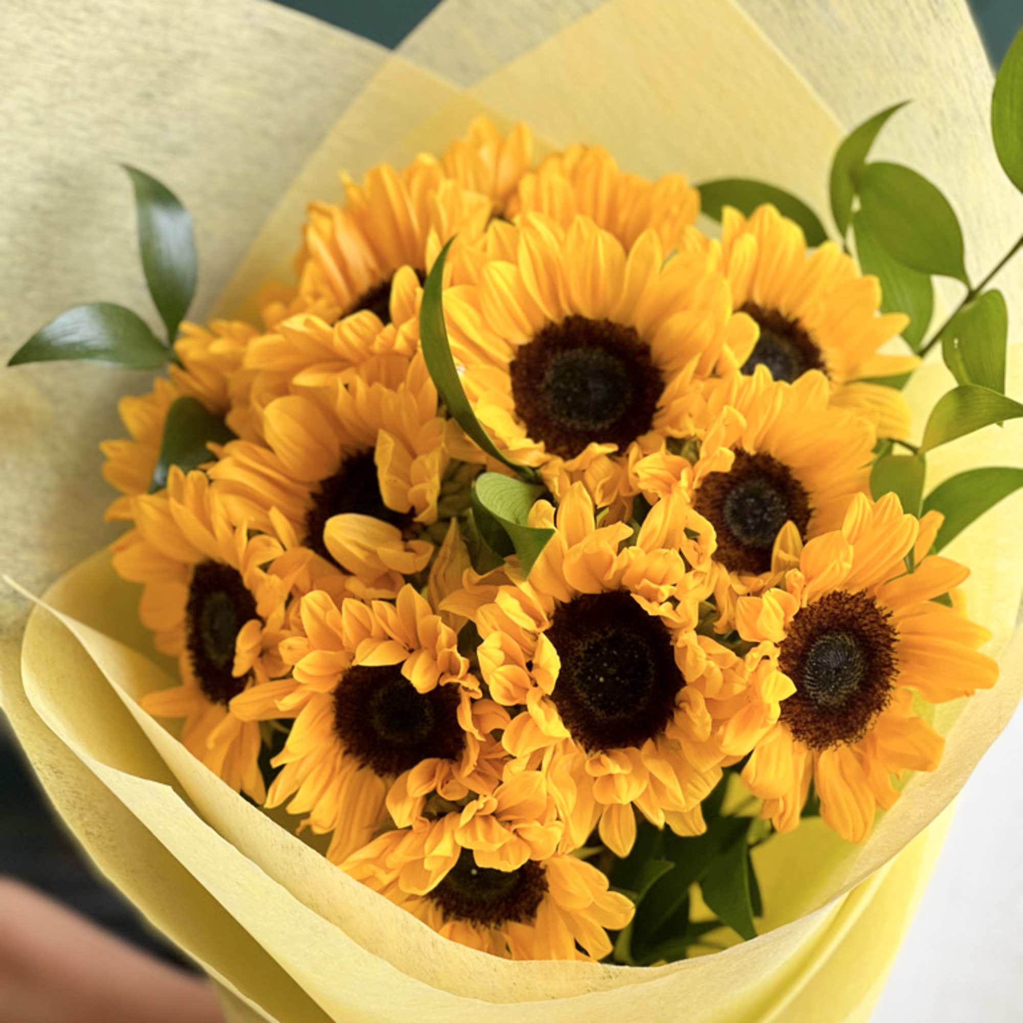 SunflowersSmallBrownCenter_2_g