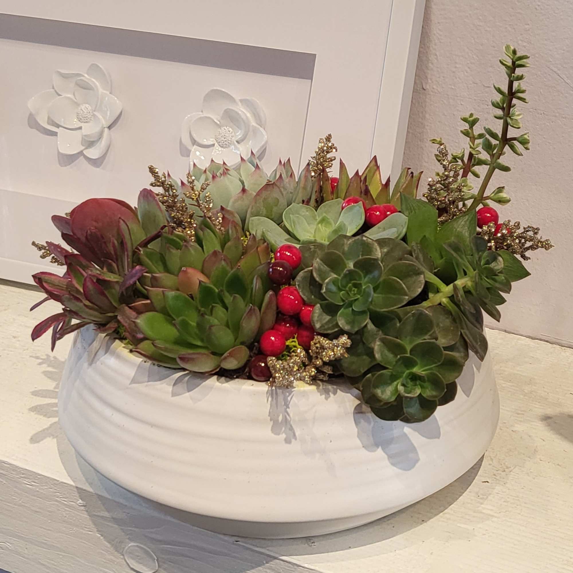 Abundance of various succulents