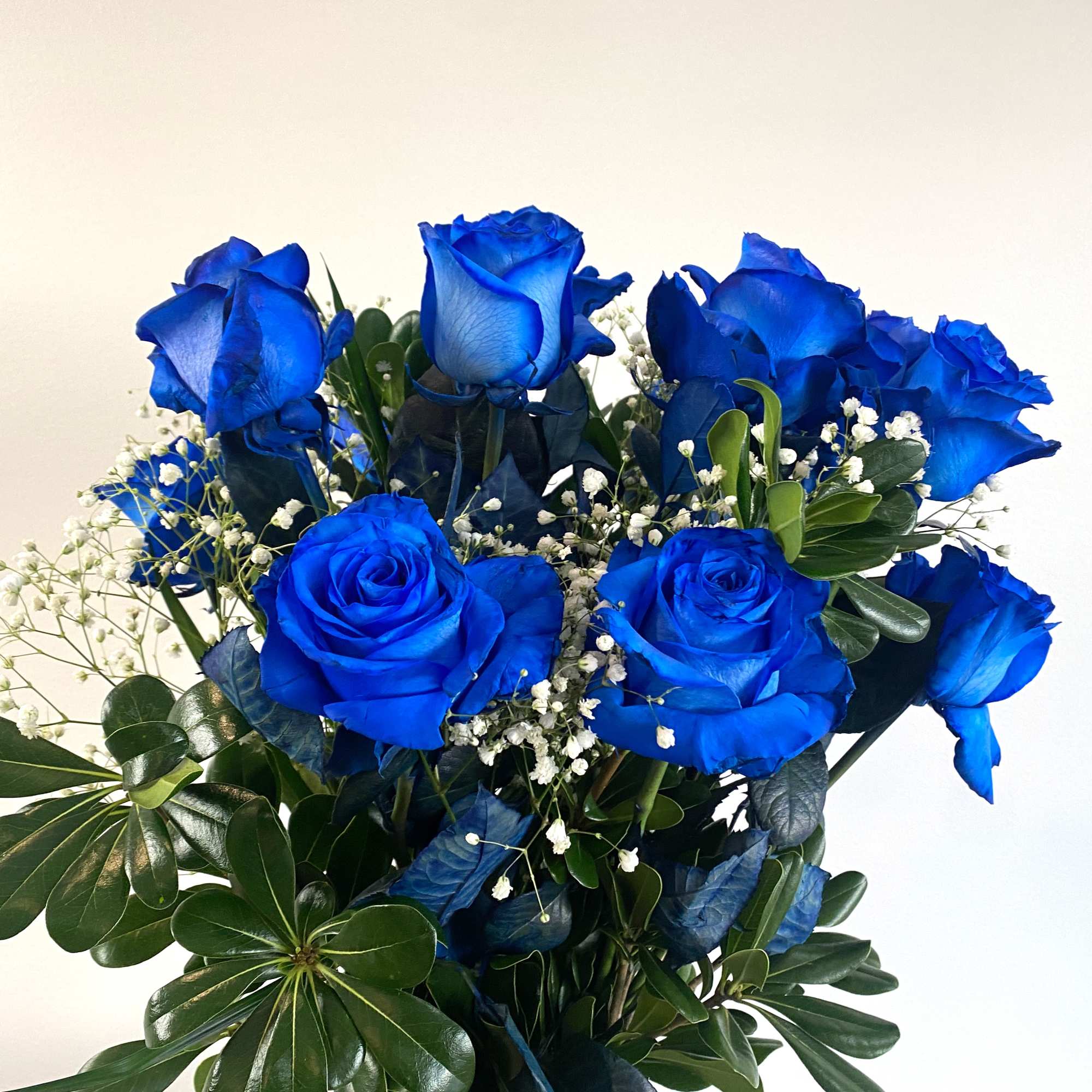 1 dozen blue tinted roses with greens and baby breath arranged in