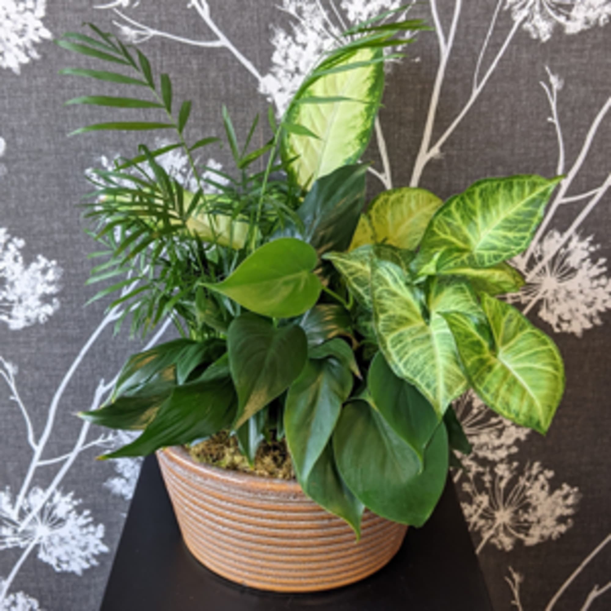 This ceramic container is brimming with an assortment of live, growing plants