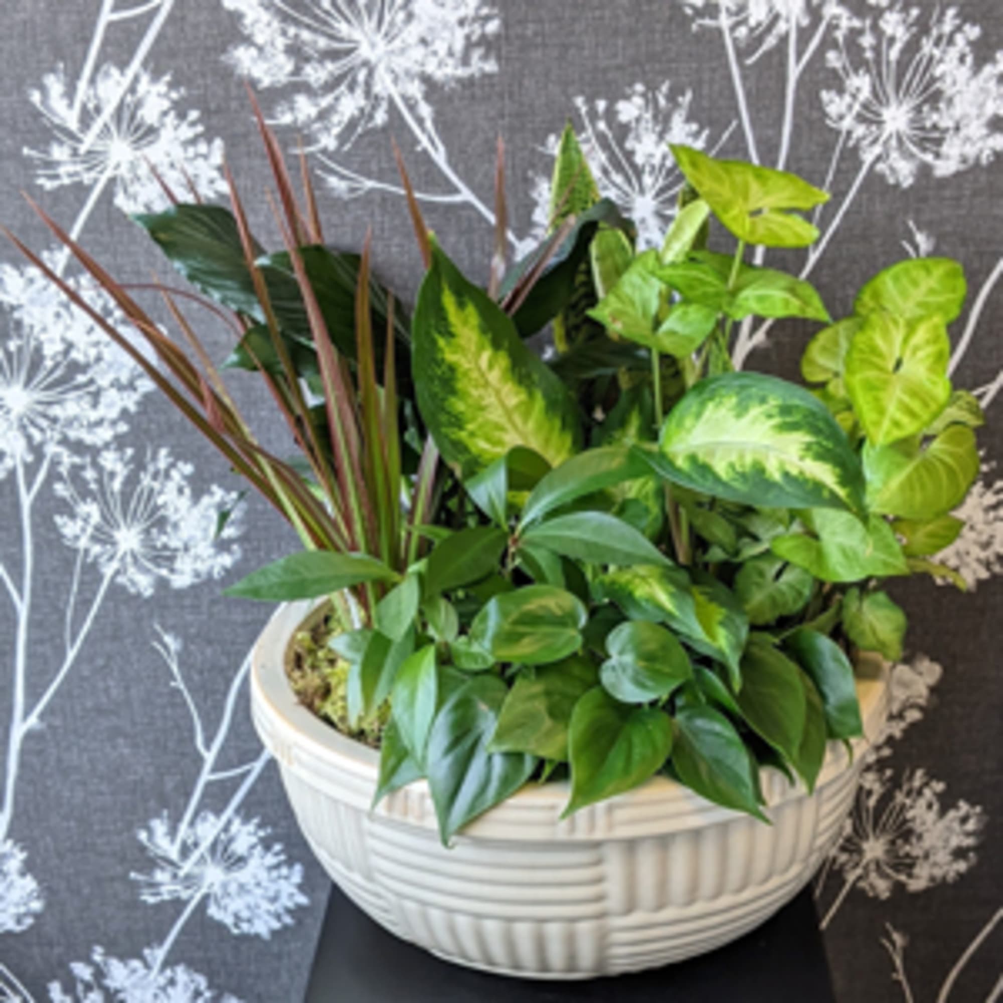 This ceramic container is brimming with an assortment of live, growing plants