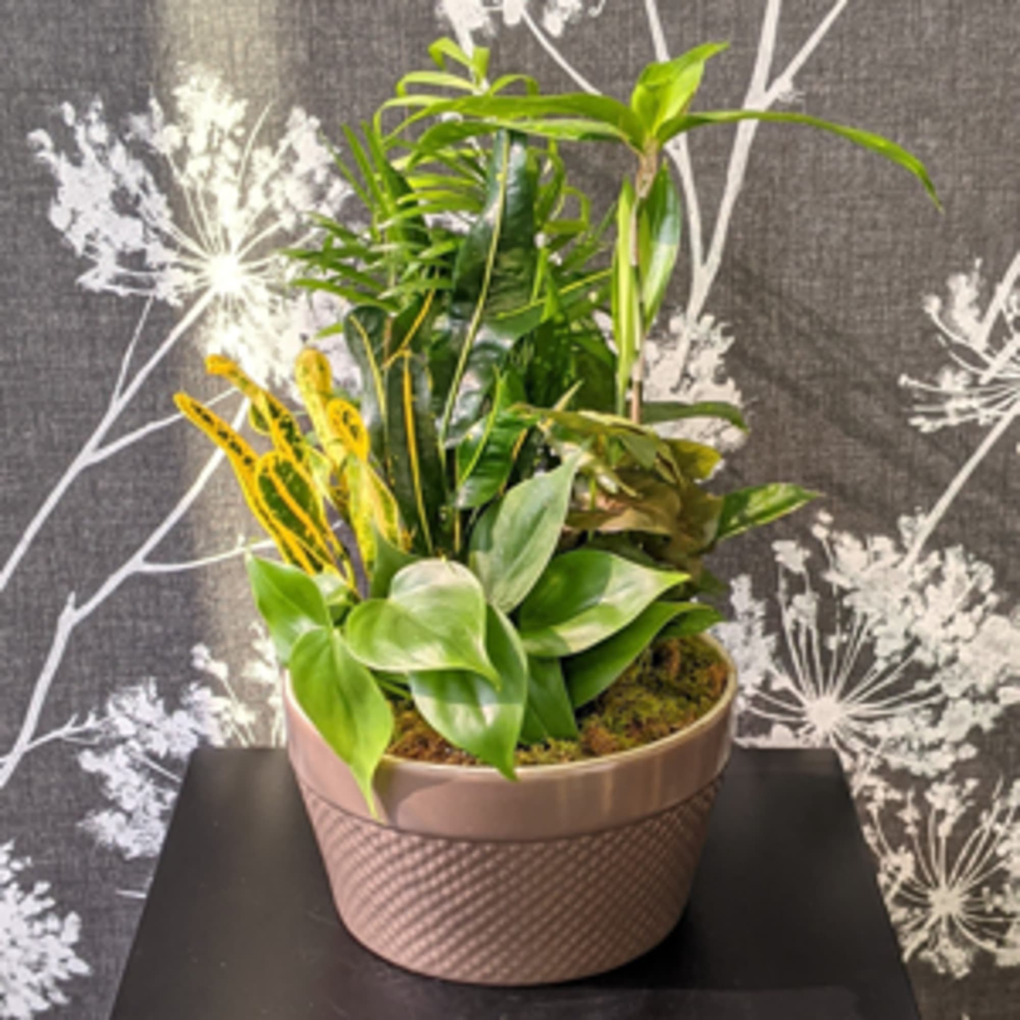 This ceramic container is brimming with an assortment of live, growing plants