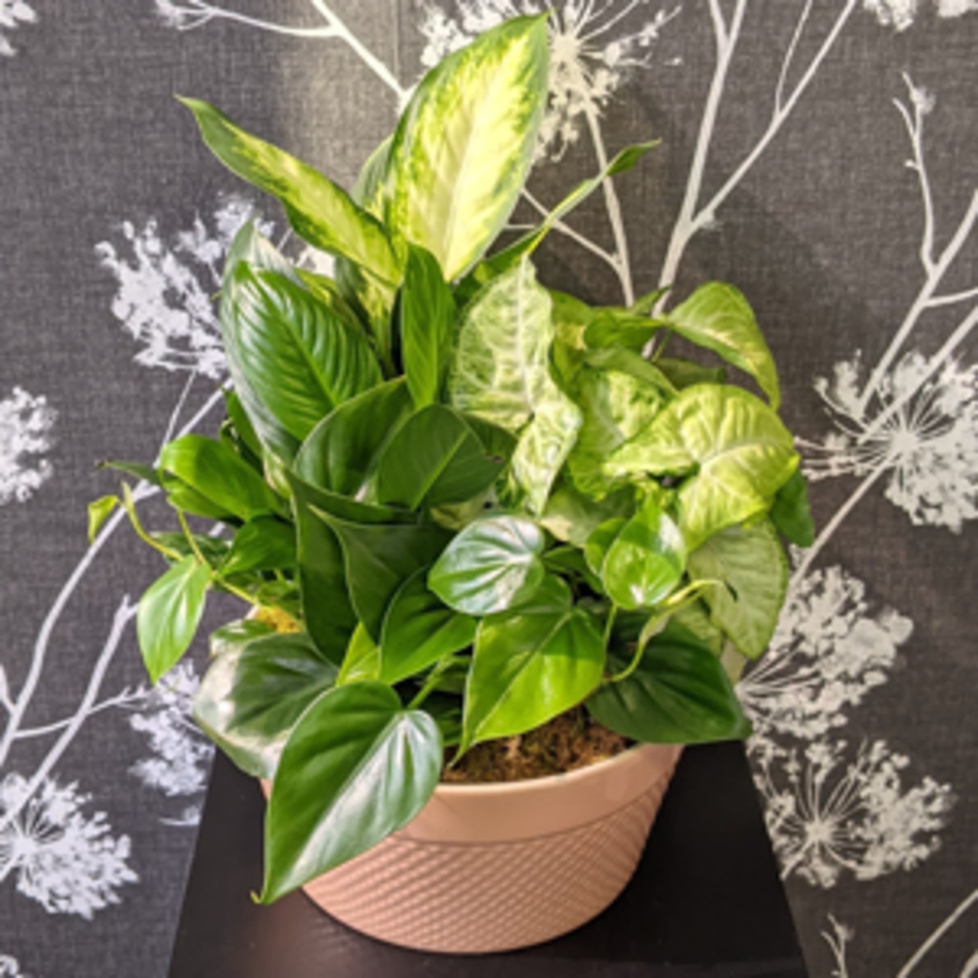 This ceramic container is brimming with an assortment of live, growing plants