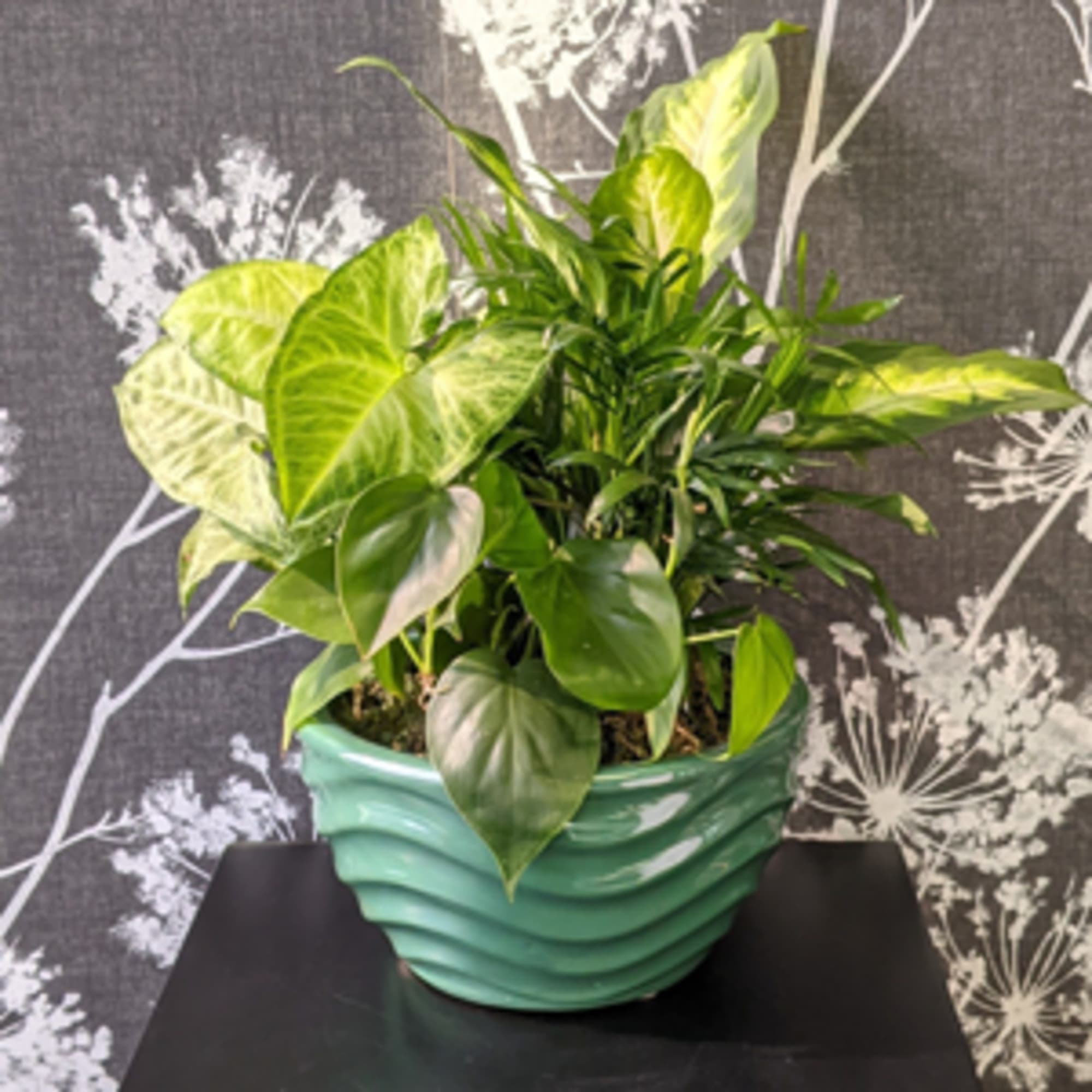 This ceramic container is brimming with an assortment of live, growing plants