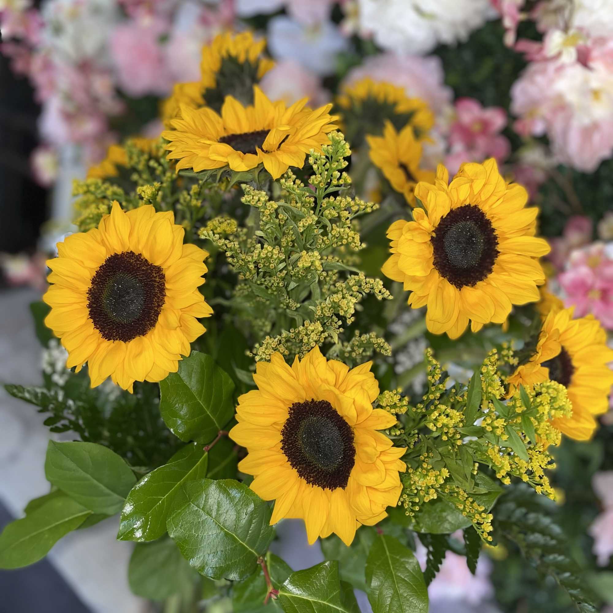 This gorgeous arrangement has sunflowers and fresh yellow saladeigo.