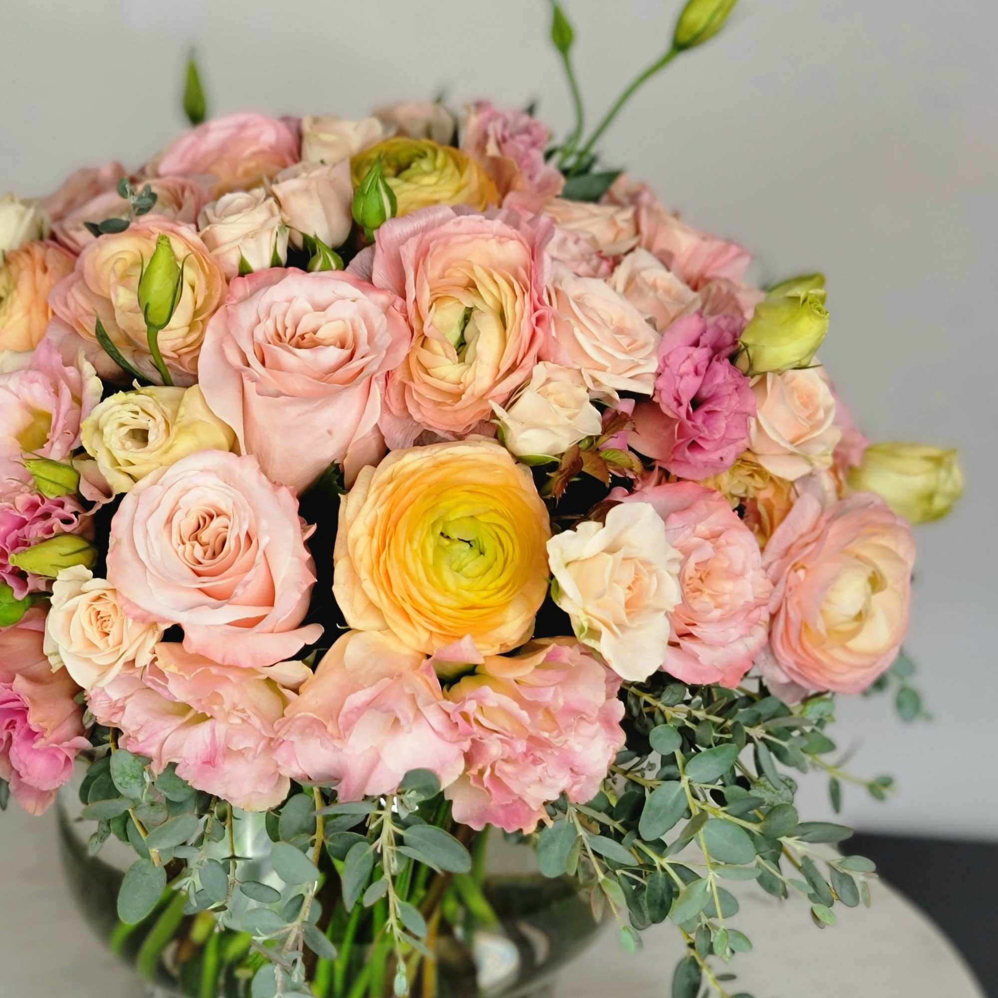 The interesting color of these rununculi, turning from peach to pink, resembles