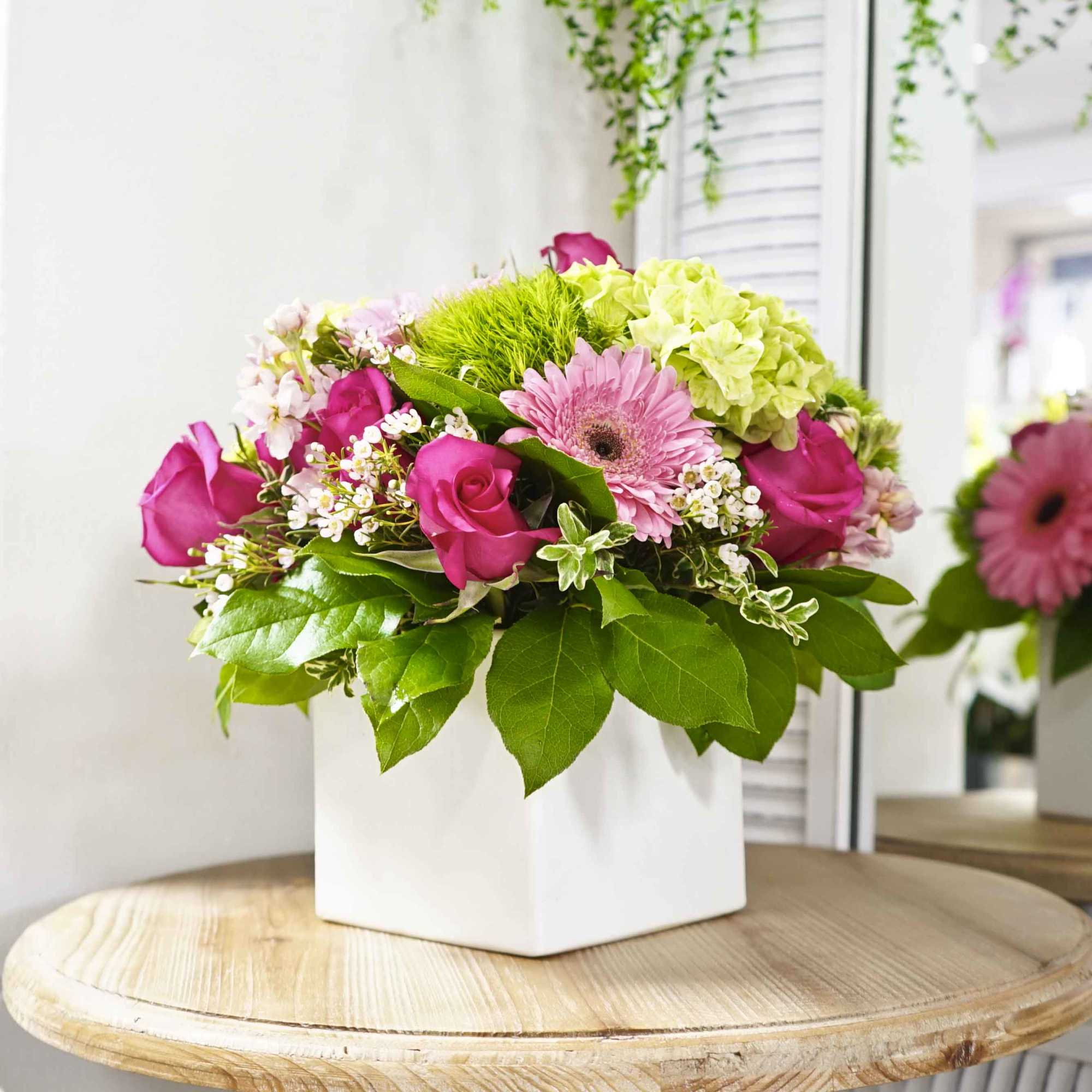 Hot pink roses, pink gerbera daisies, and hydrangeas in white ceramic cube.