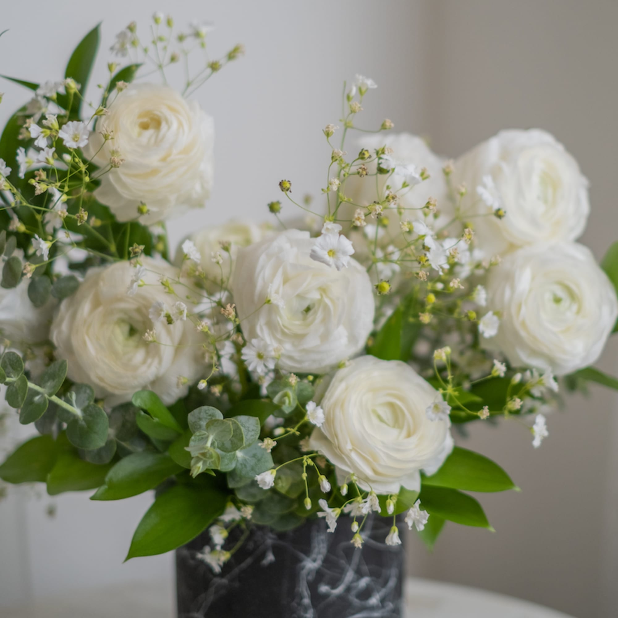 Large inflorescence of white rununculuses fascinate with lightness and airiness and creates