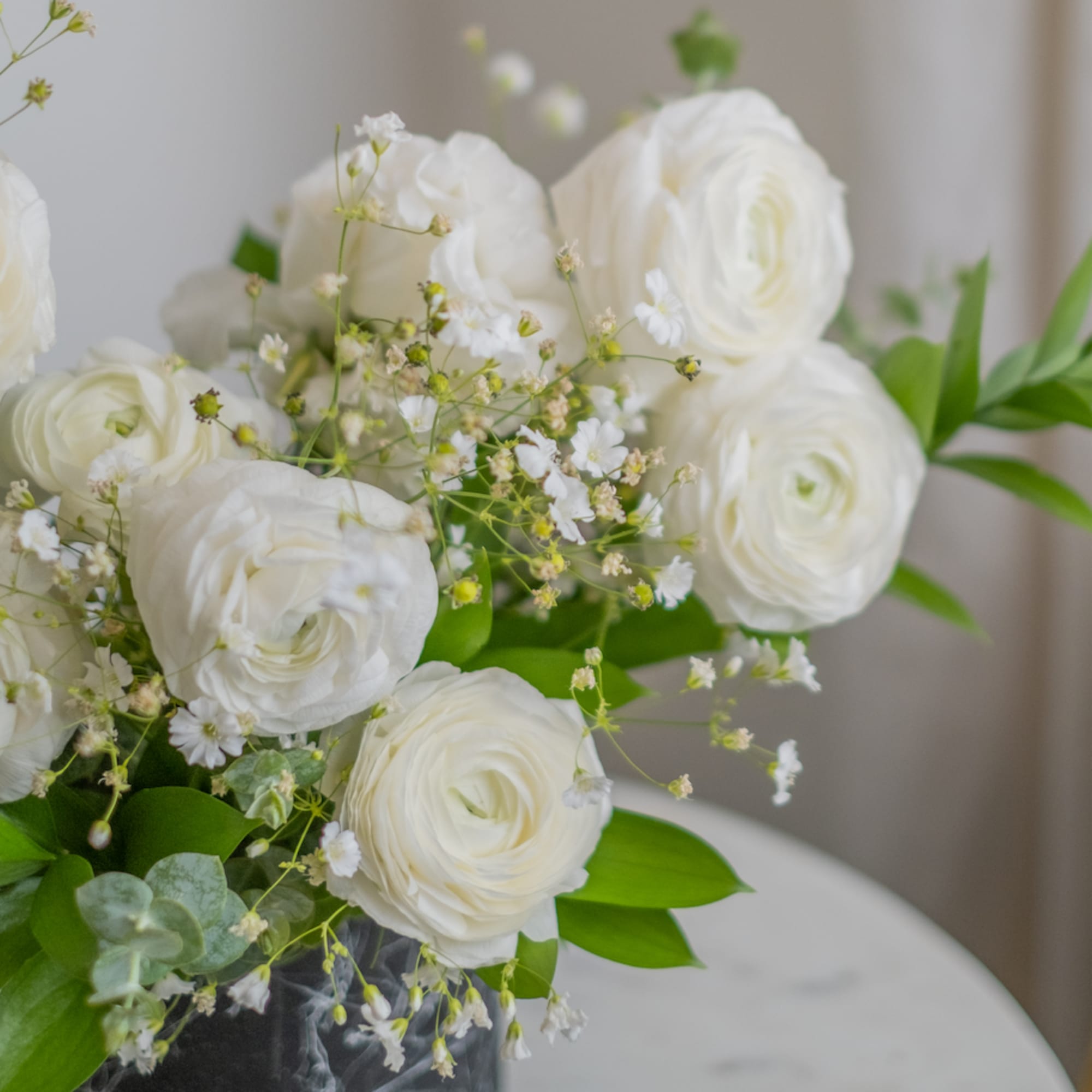 Large inflorescence of white rununculuses fascinate with lightness and airiness and creates