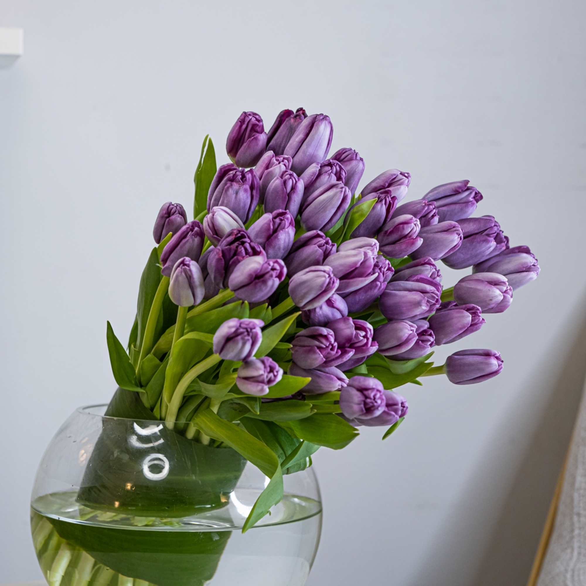 A bouquet of tulips is a universal gift, which at the same