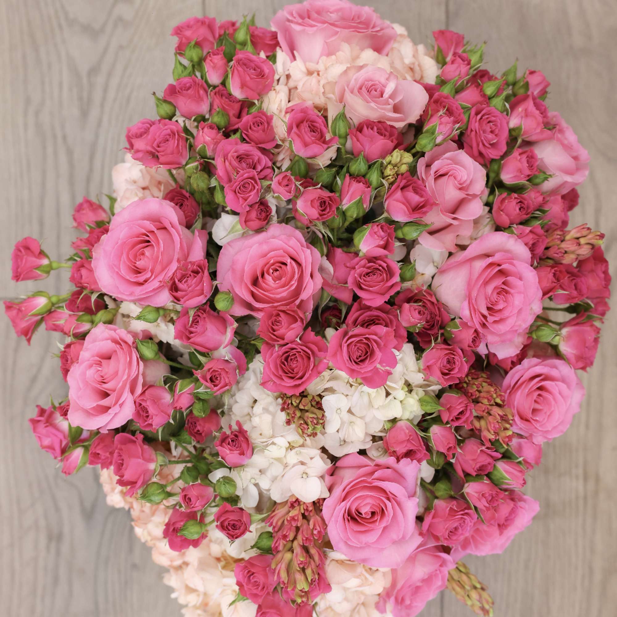 Arrangement includes the folly flowers; hydrangea, spray roses, and roses.