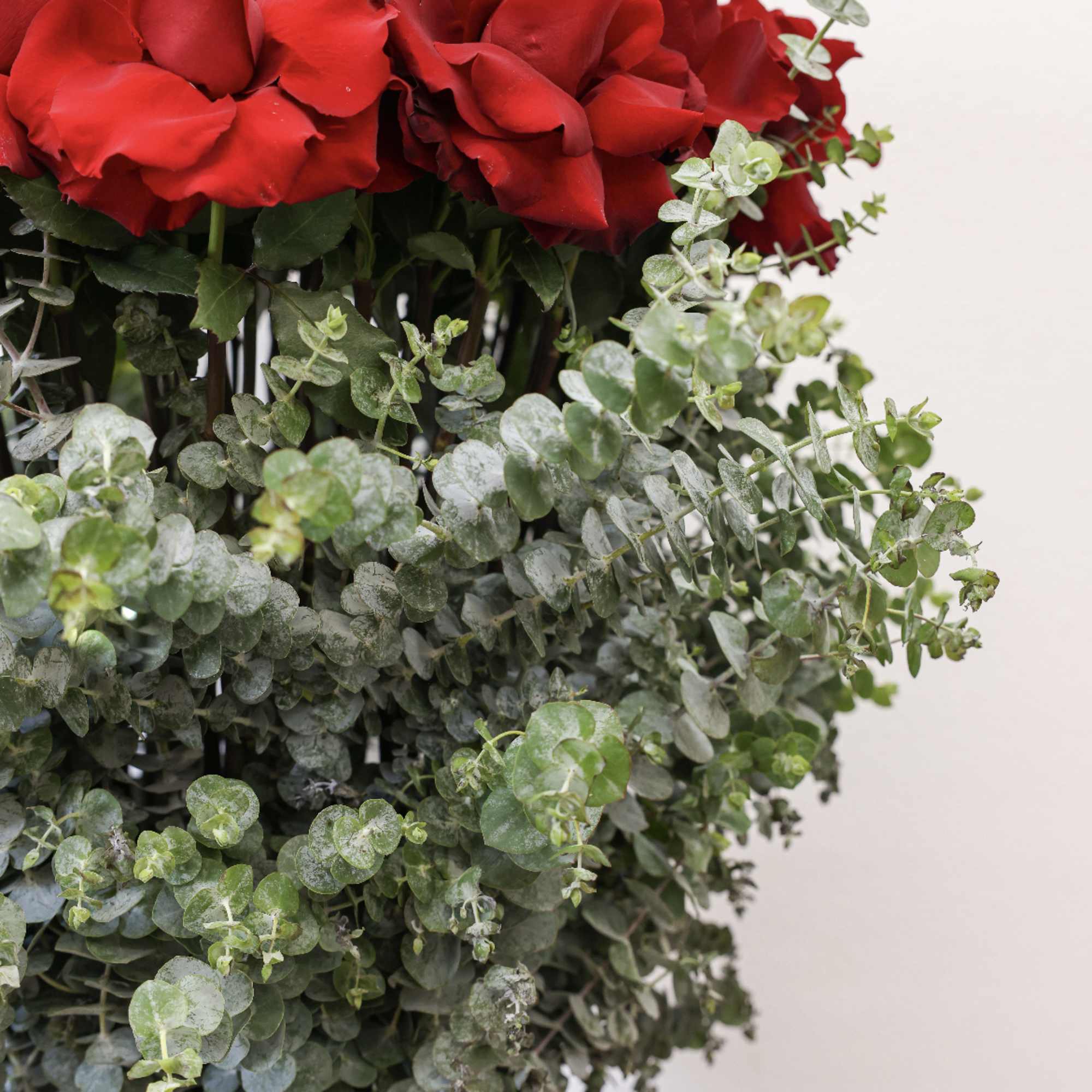 This arrangement comes in a sway box with beautiful fresh red roses
