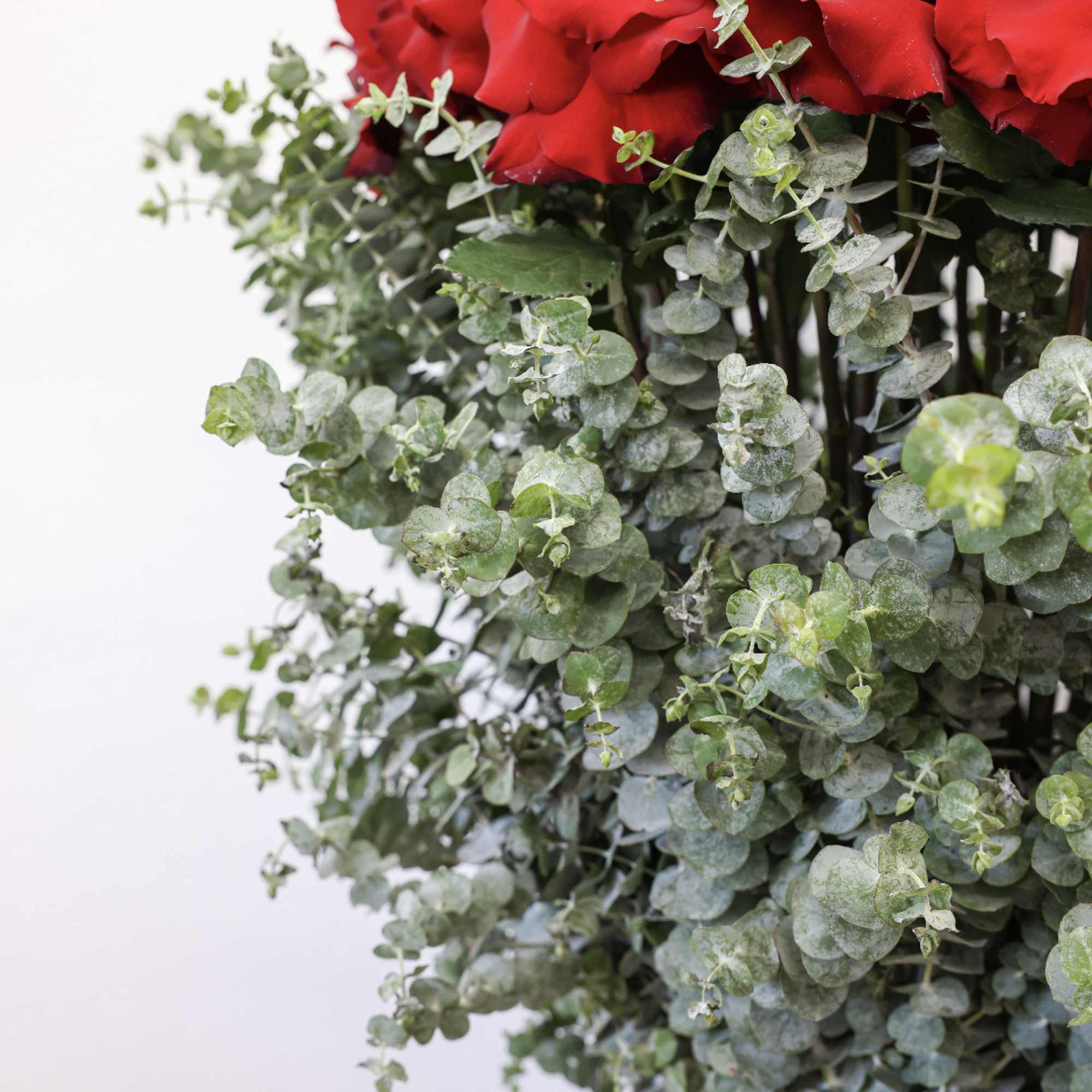 This arrangement comes in a sway box with beautiful fresh red roses