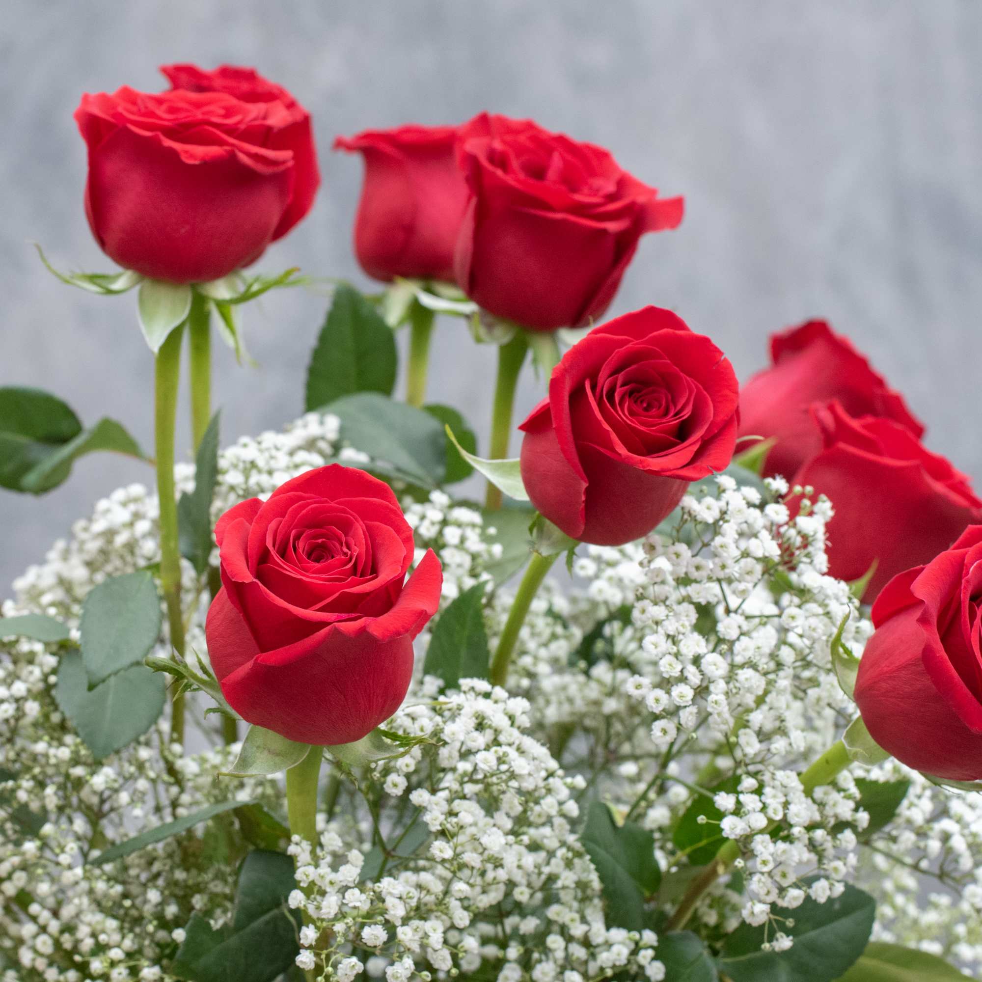 One dozen long stemmed red roses classically arranged in a tall, tapered One dozen long stemmed red roses classically arranged in a tall, tapered
