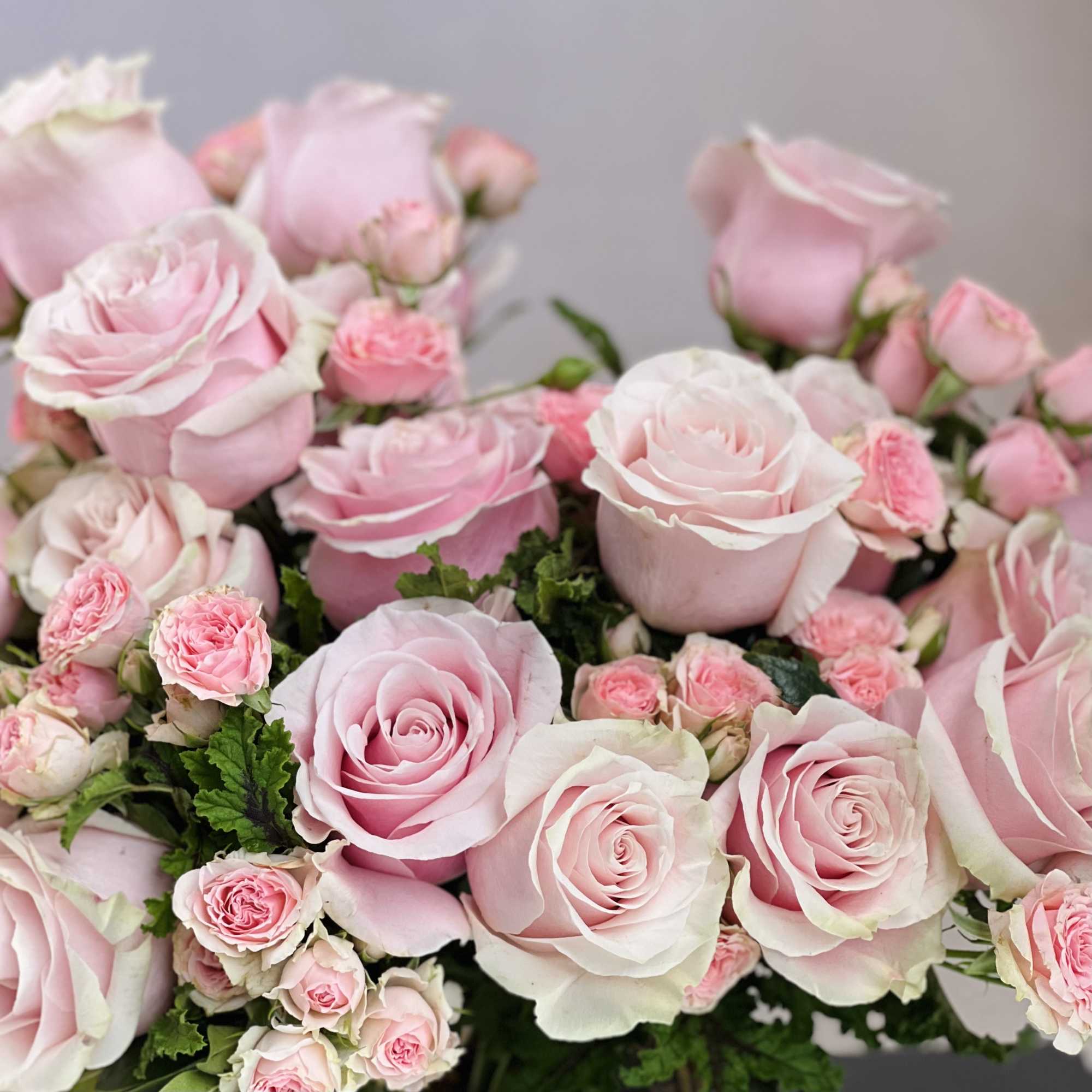 A verity of Pink Roses and freshly picked Scented Geraniums from the