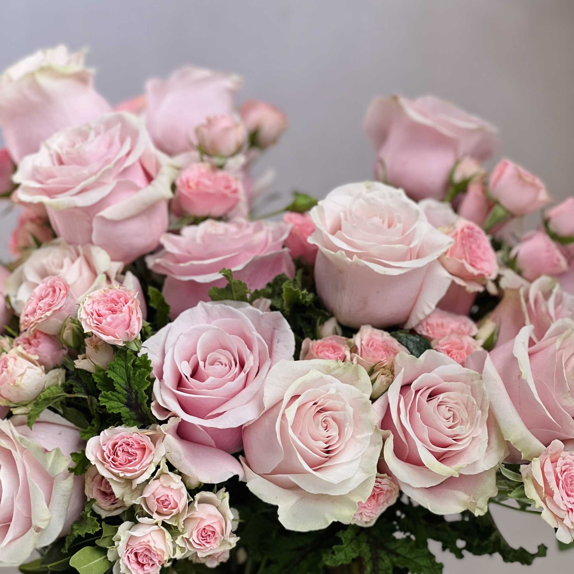 A verity of Pink Roses and freshly picked Scented Geraniums from the