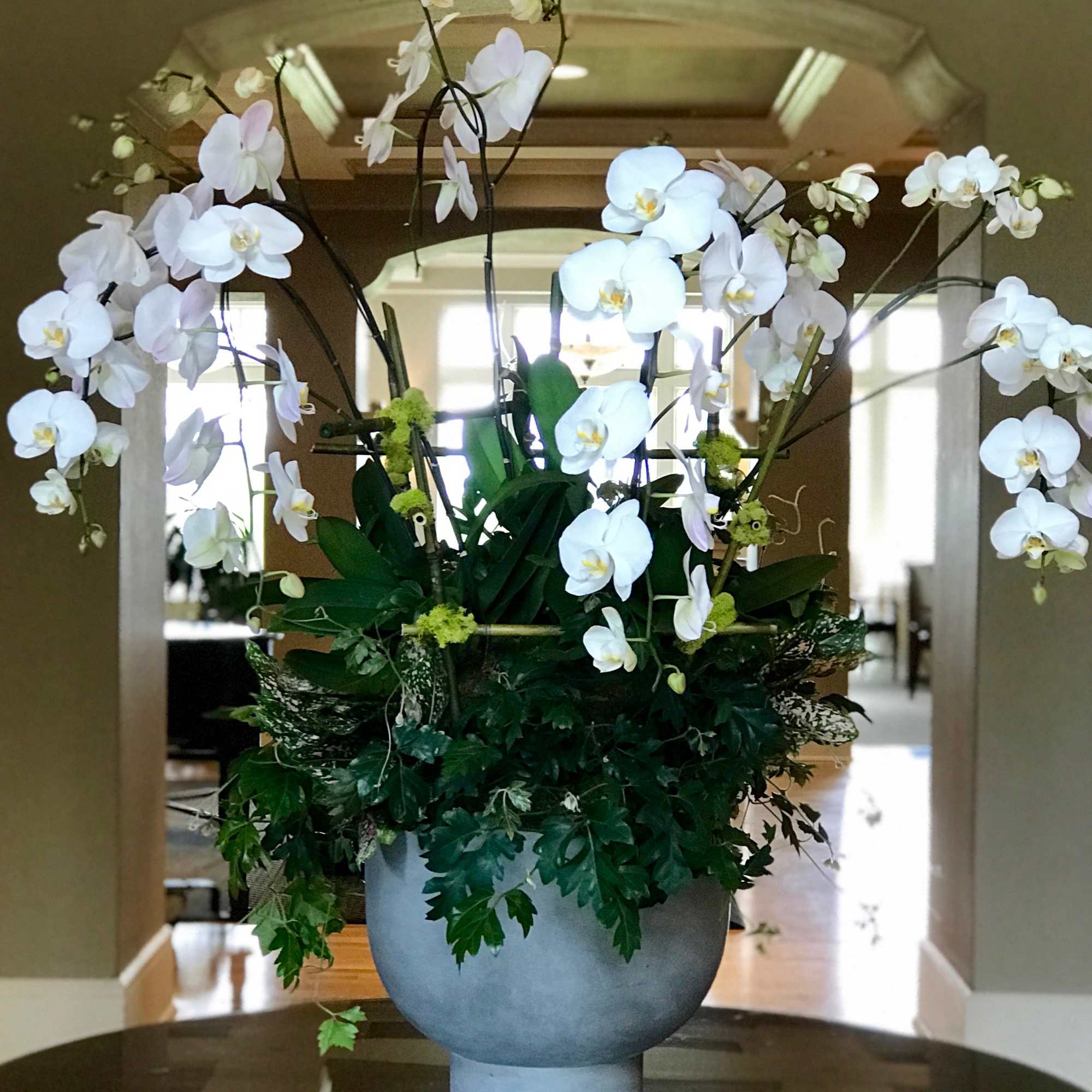 Our Custom Planters are designed to your light and care specifications. Our Our Custom Planters are designed to your light and care specifications. Our