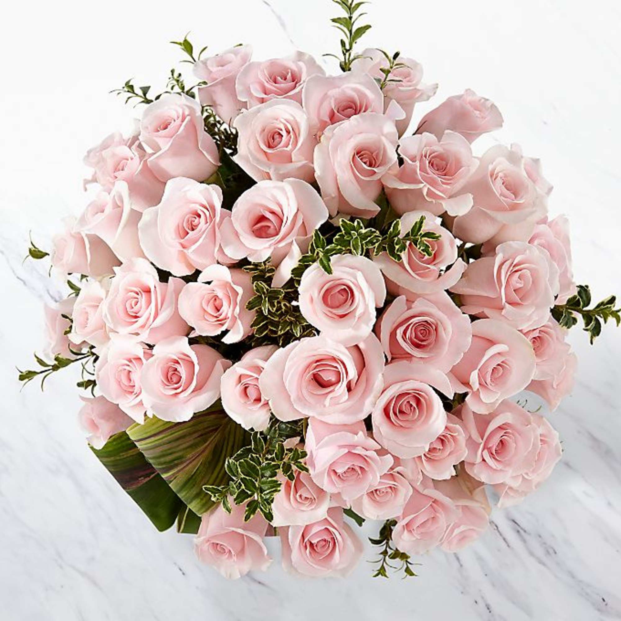 Picture-perfect soft pink roses make a beautiful gift for the lovely lady Picture-perfect soft pink roses make a beautiful gift for the lovely lady